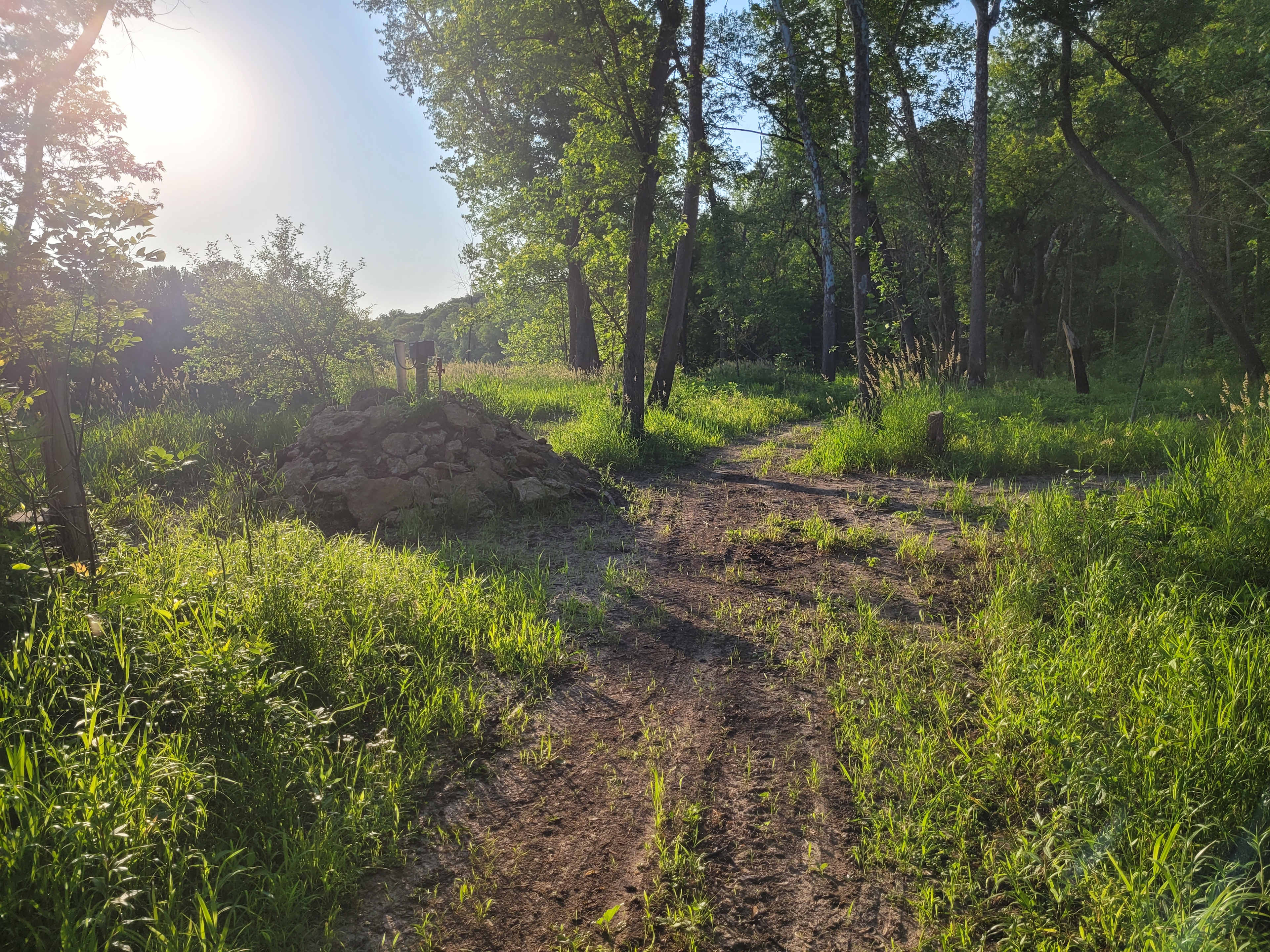 Picture of the site