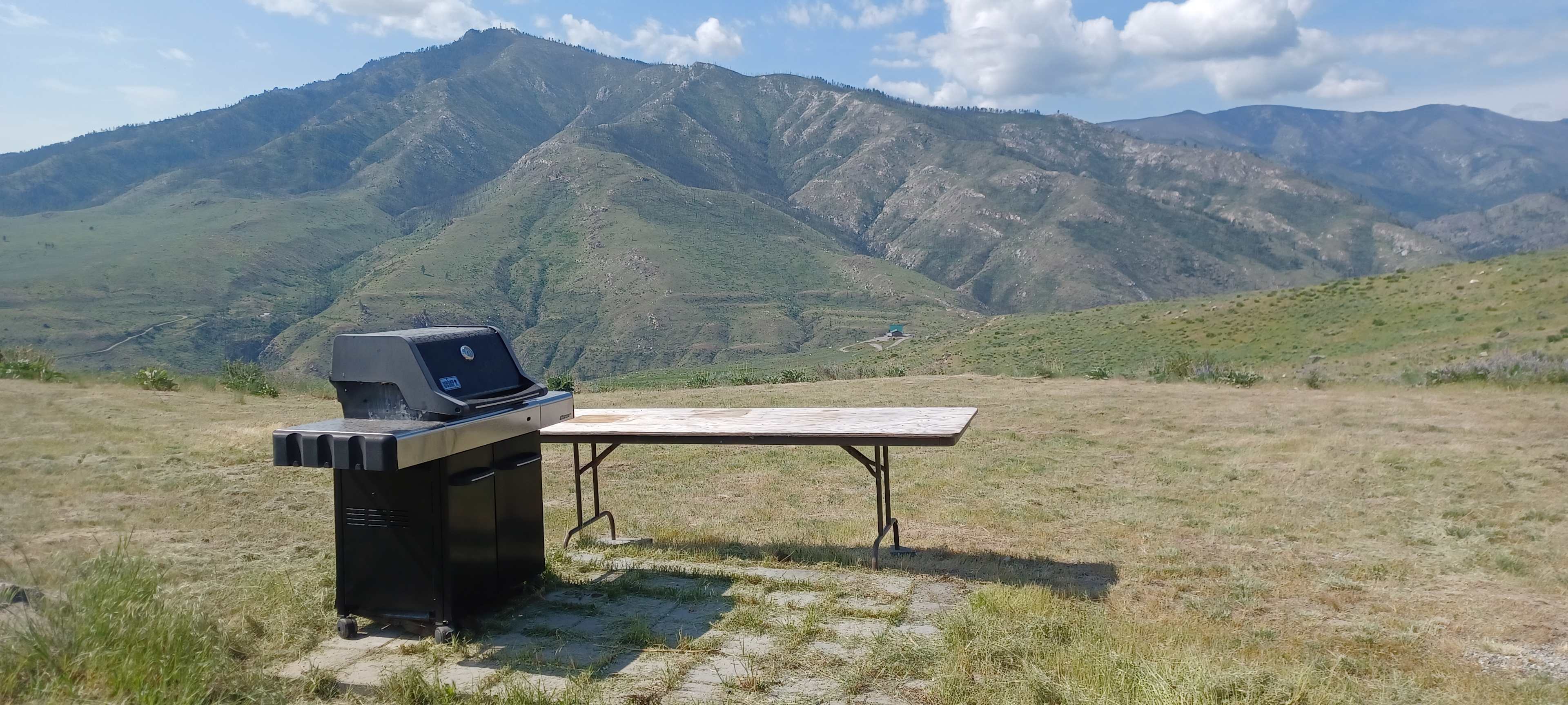 Weber Gas Grill & Table