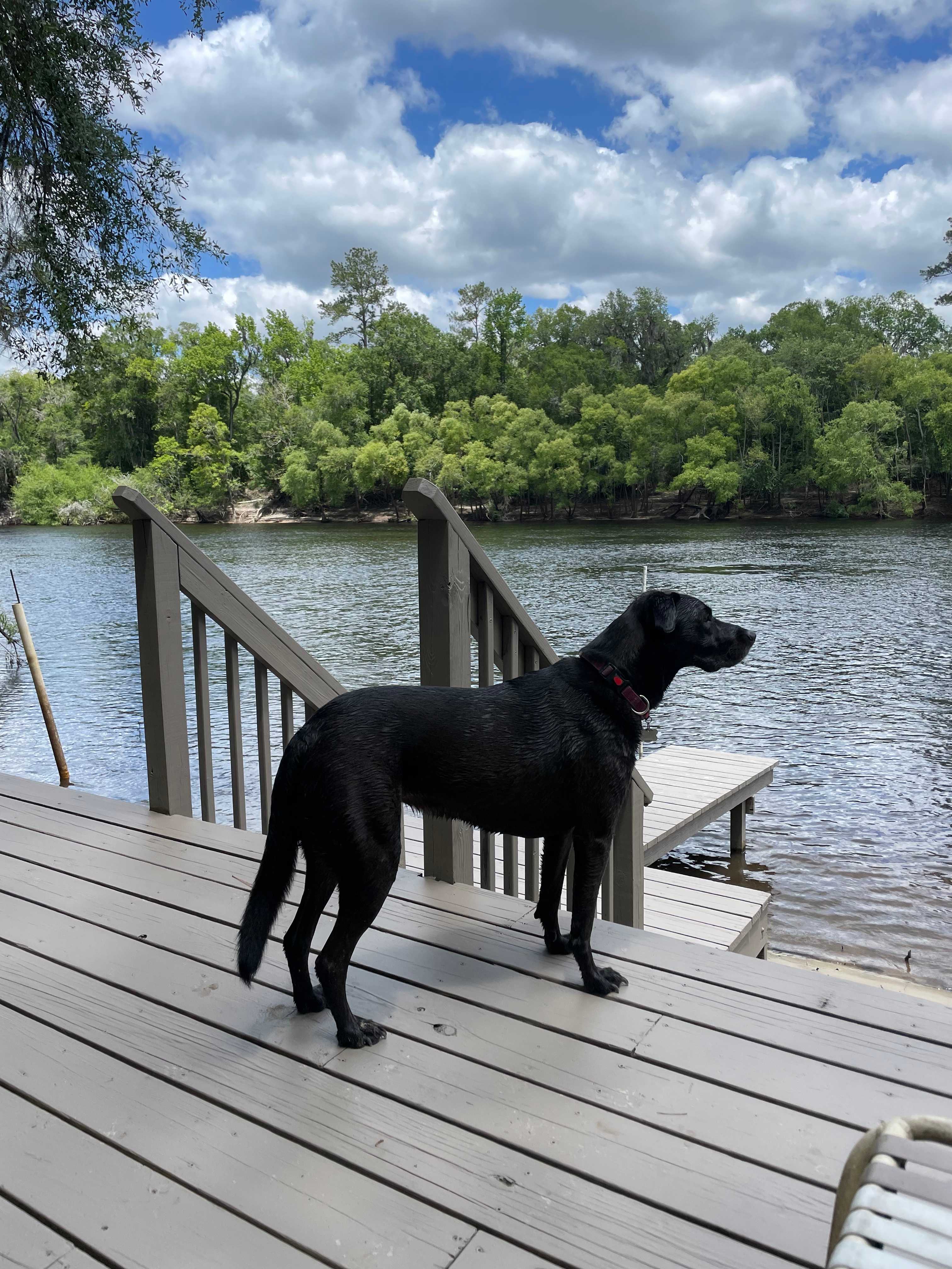 Suwannee River Green Acres