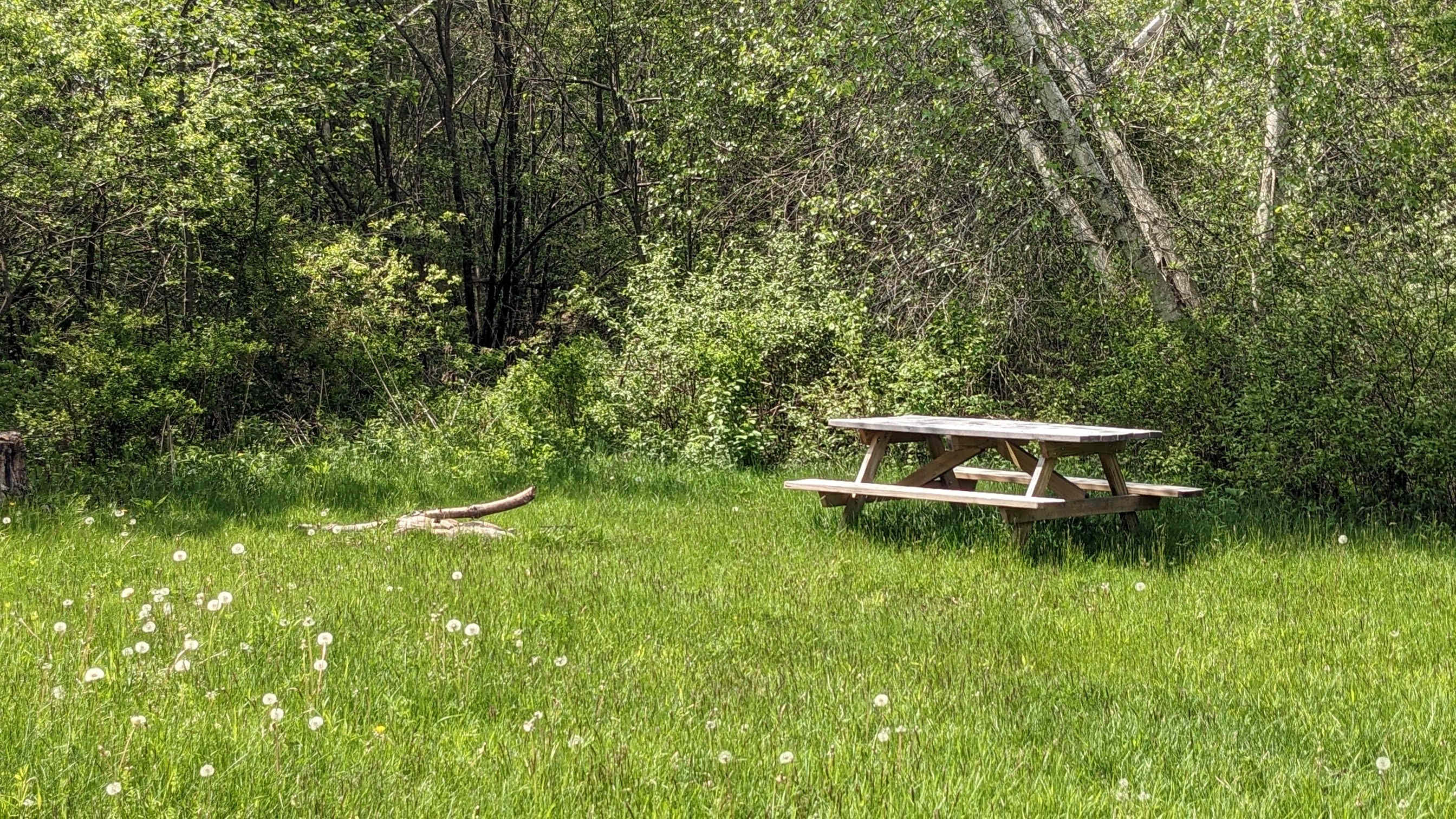 Picture of the site