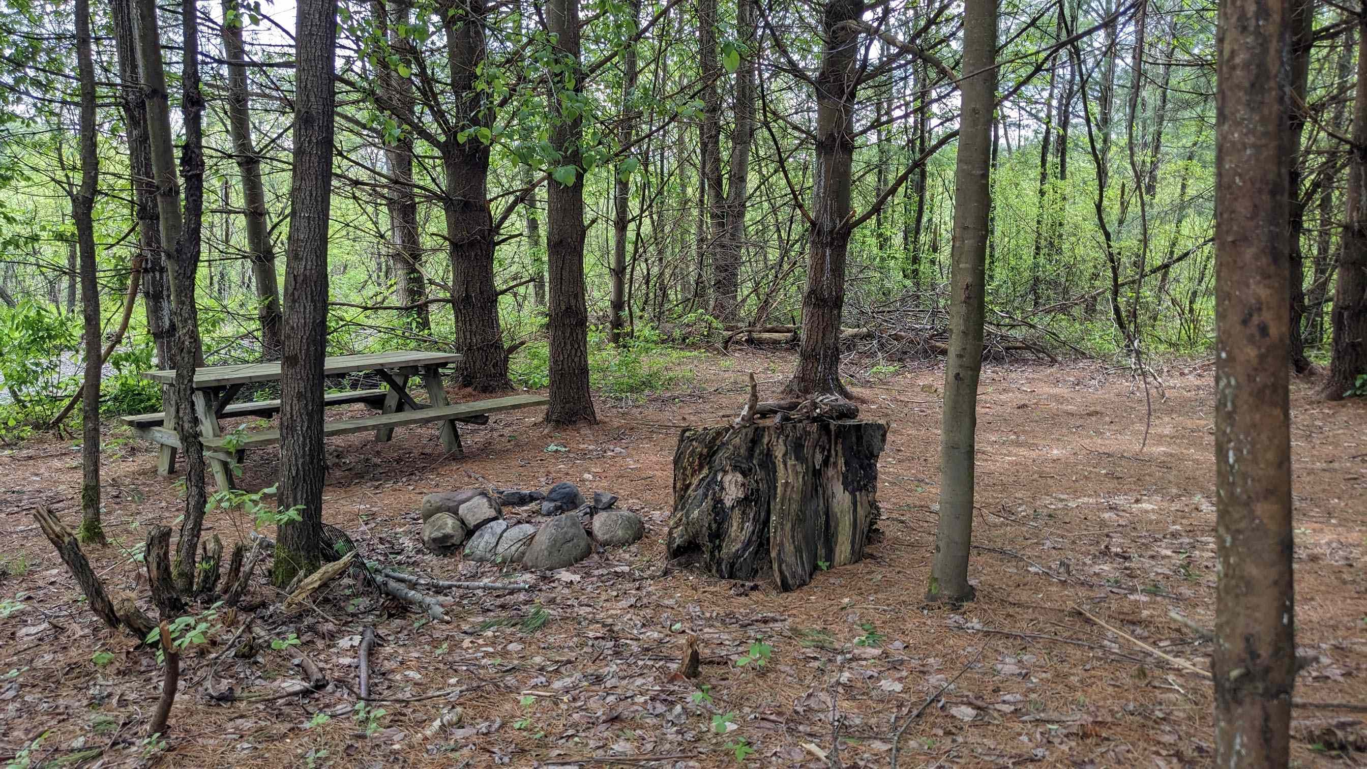 Picture of the site