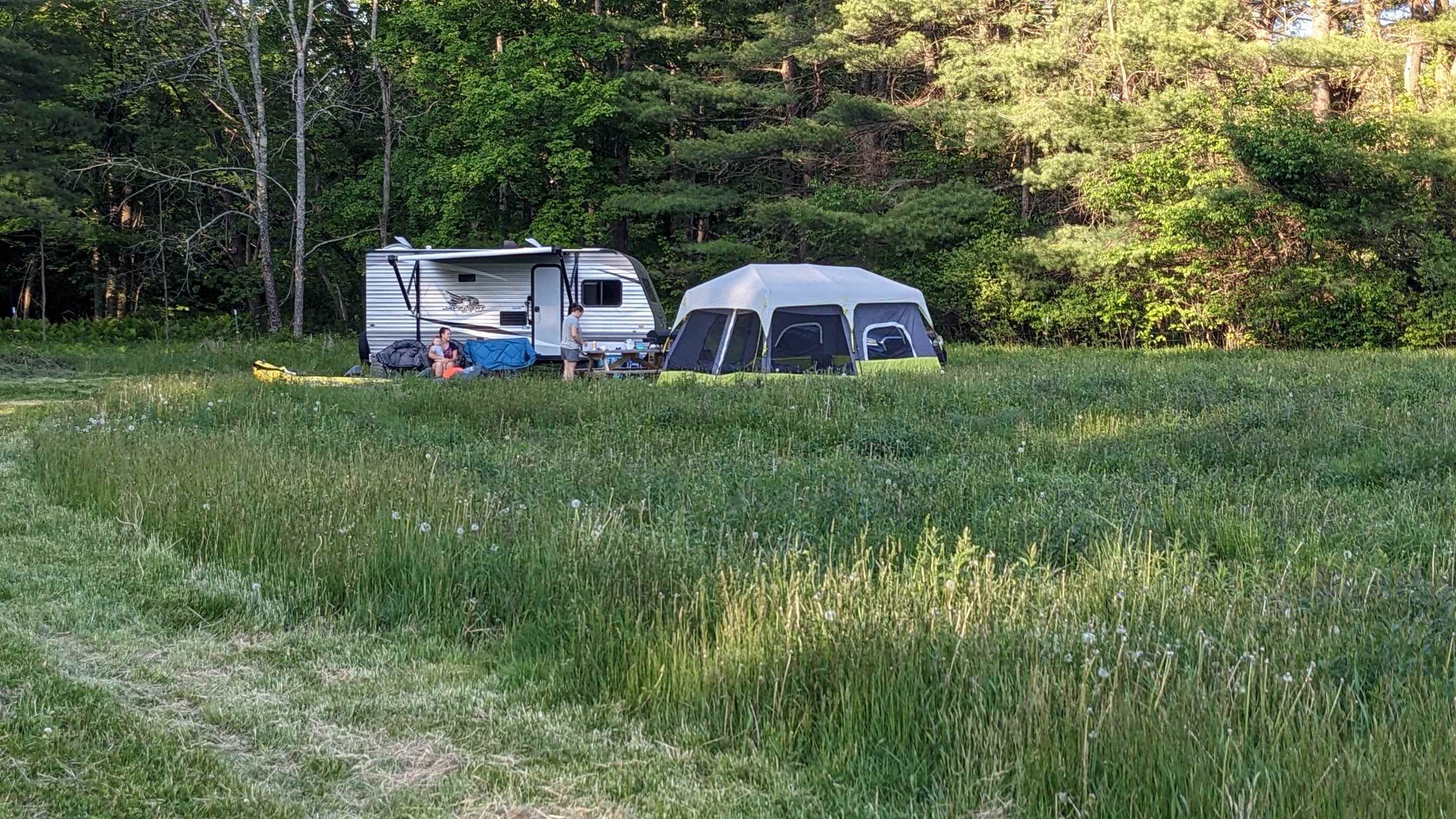 Picture of the site