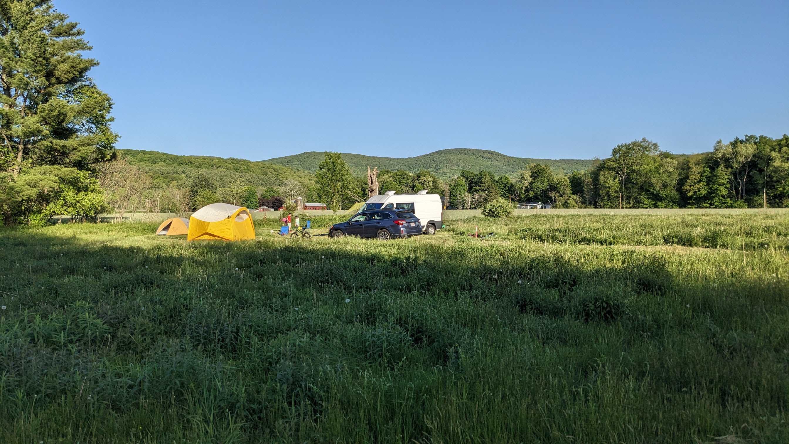 Picture of the site