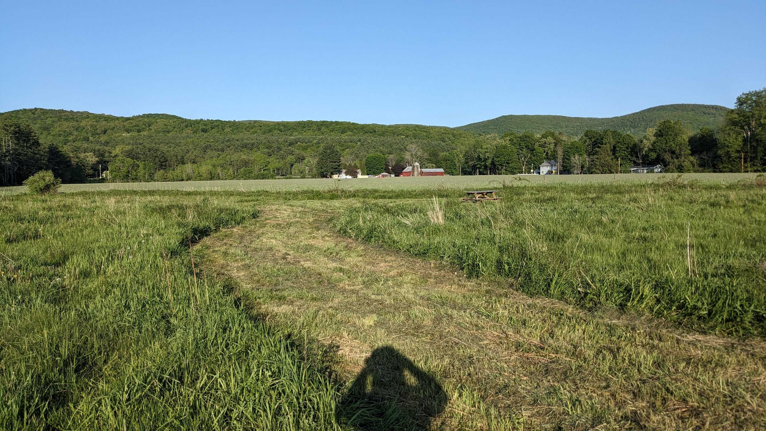 Picture of the site