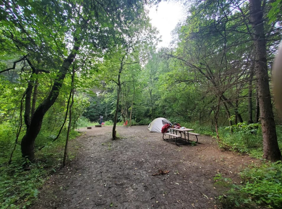 Picture of the site