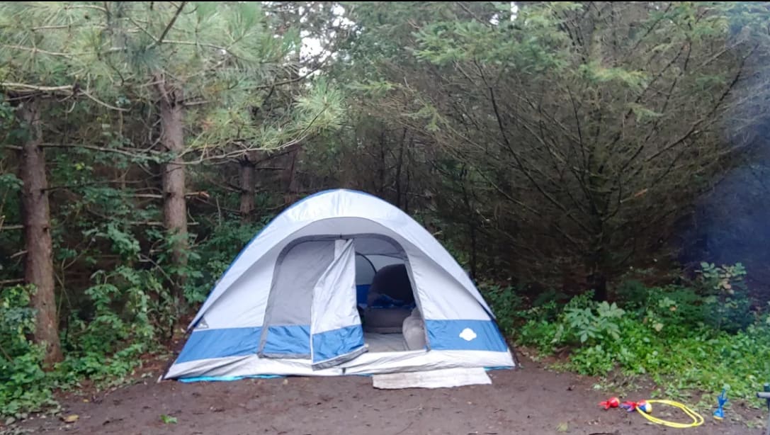Picture of the site