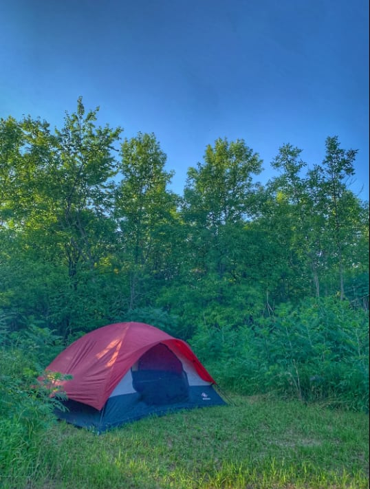 Picture of the site