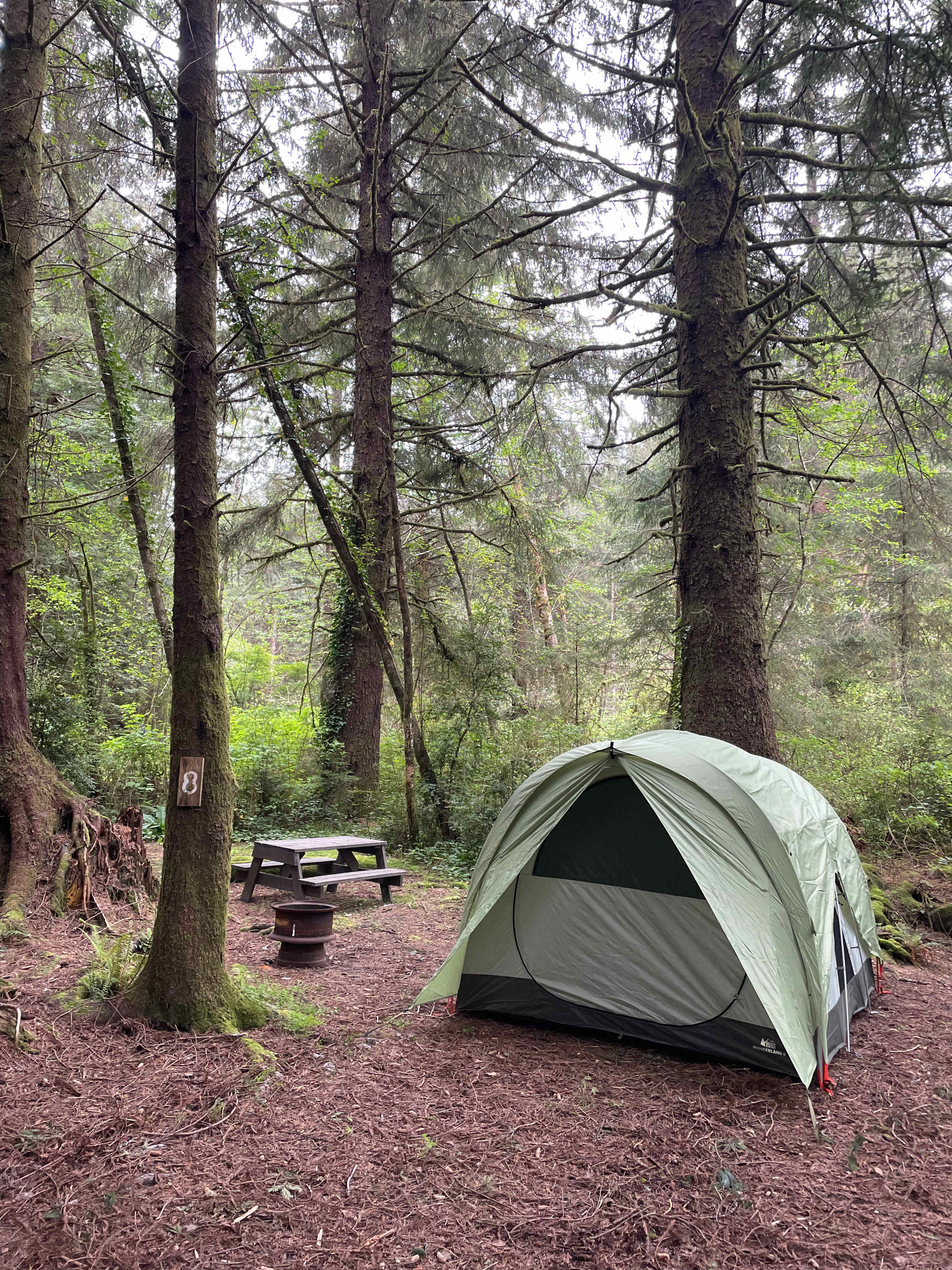 Mystic Forest Campground