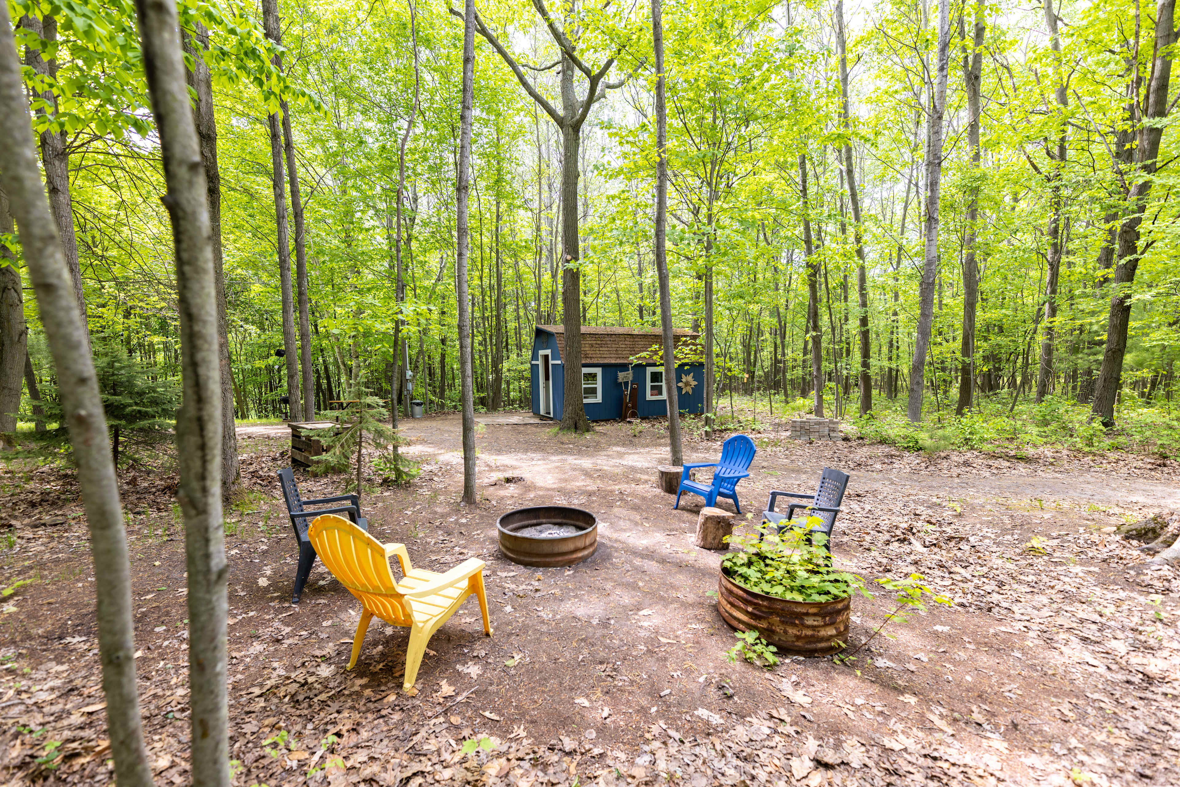 The 40 Acre Wood