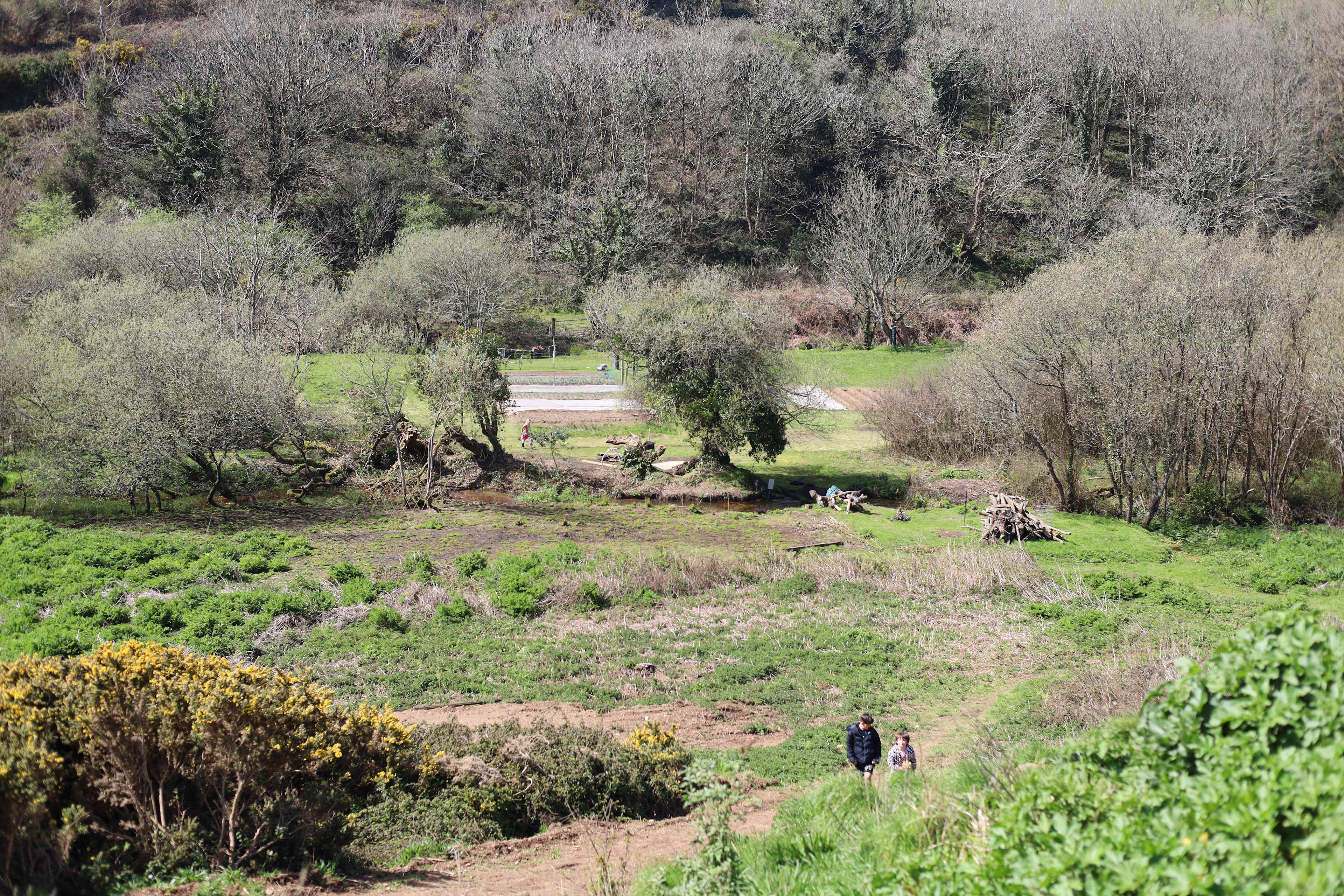 Picture of the site