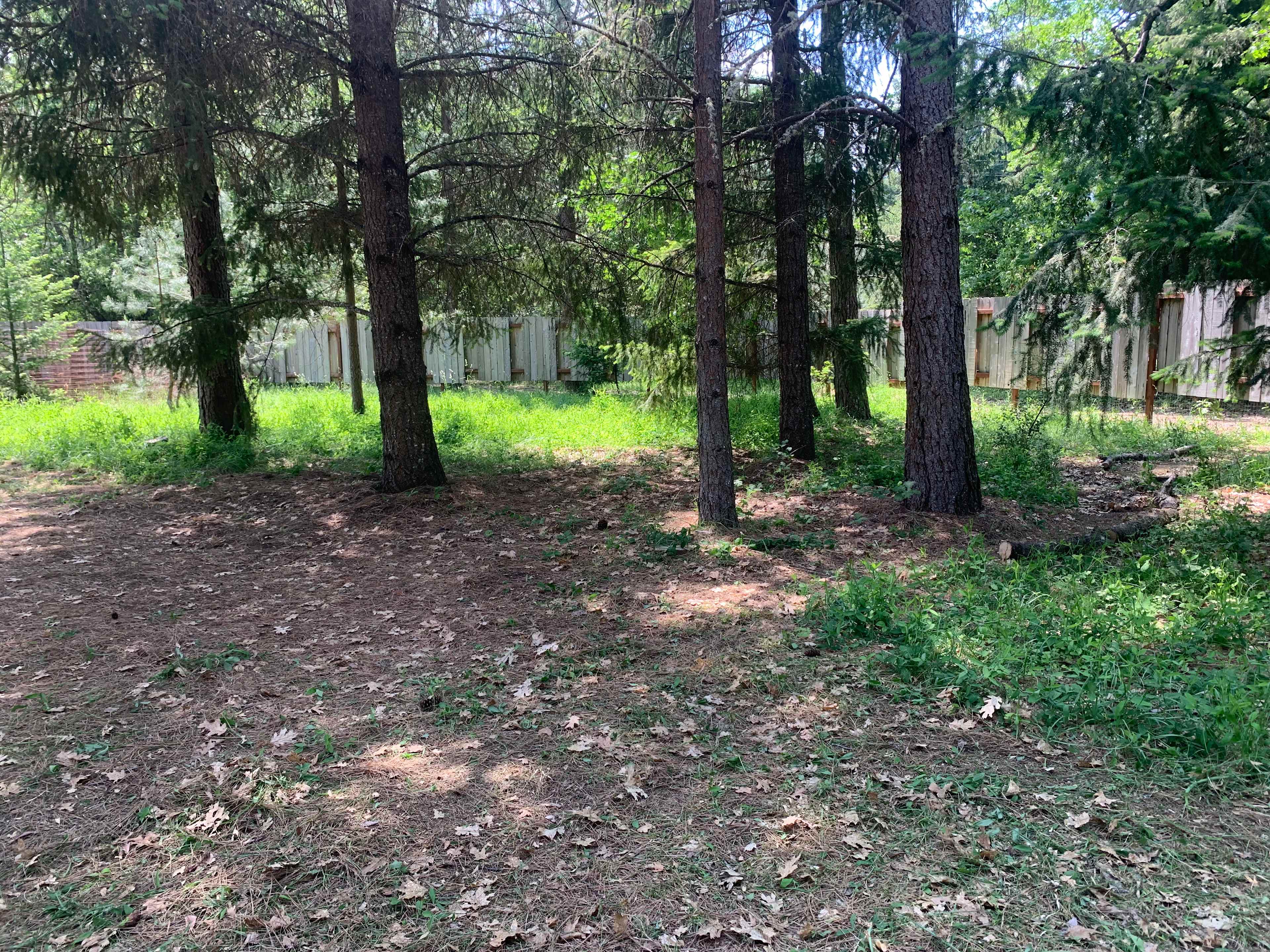 Ecotone Oasis