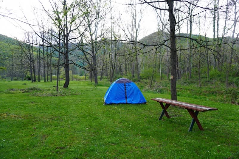 Picture of the site