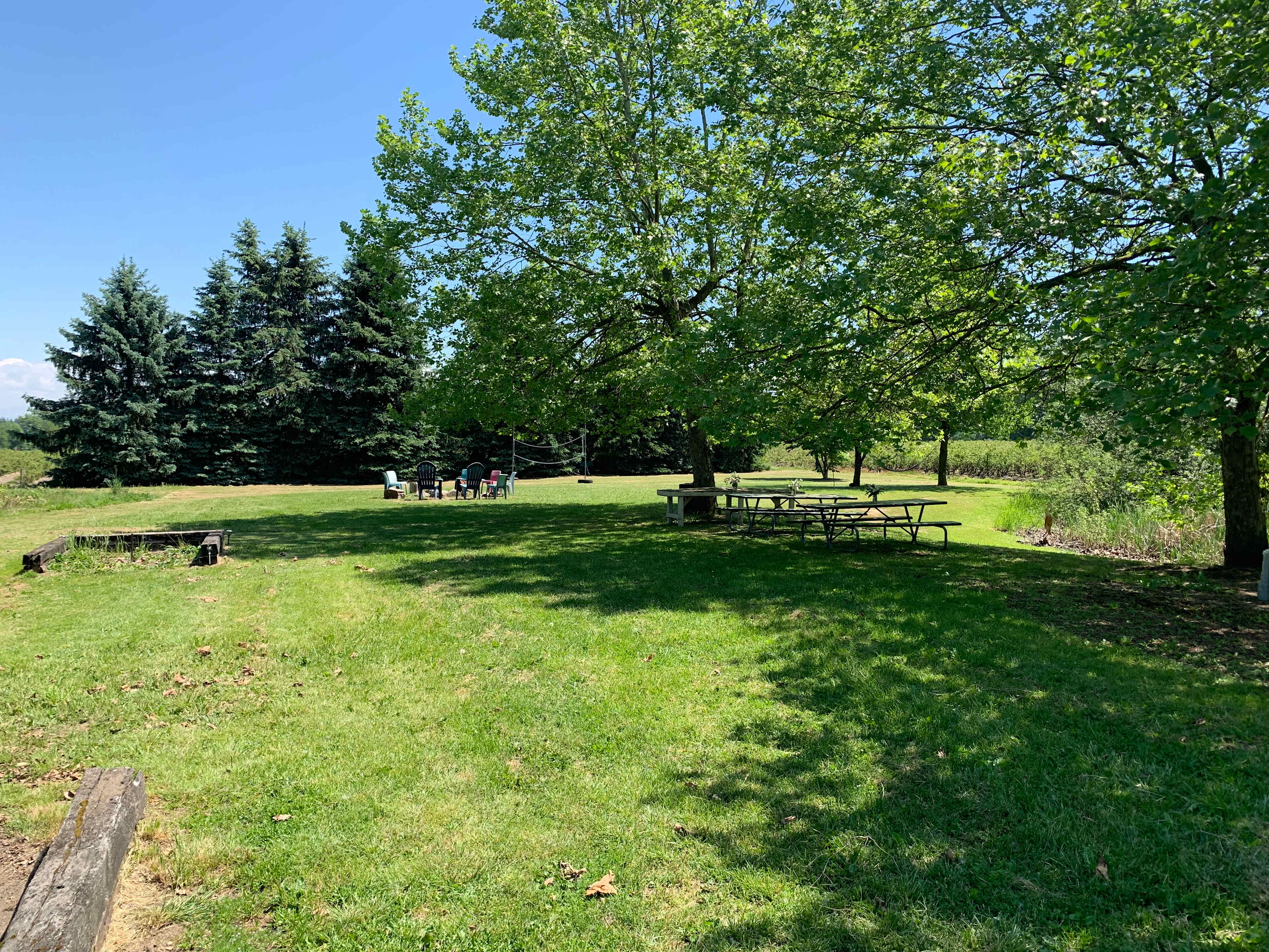 Bode Farms
