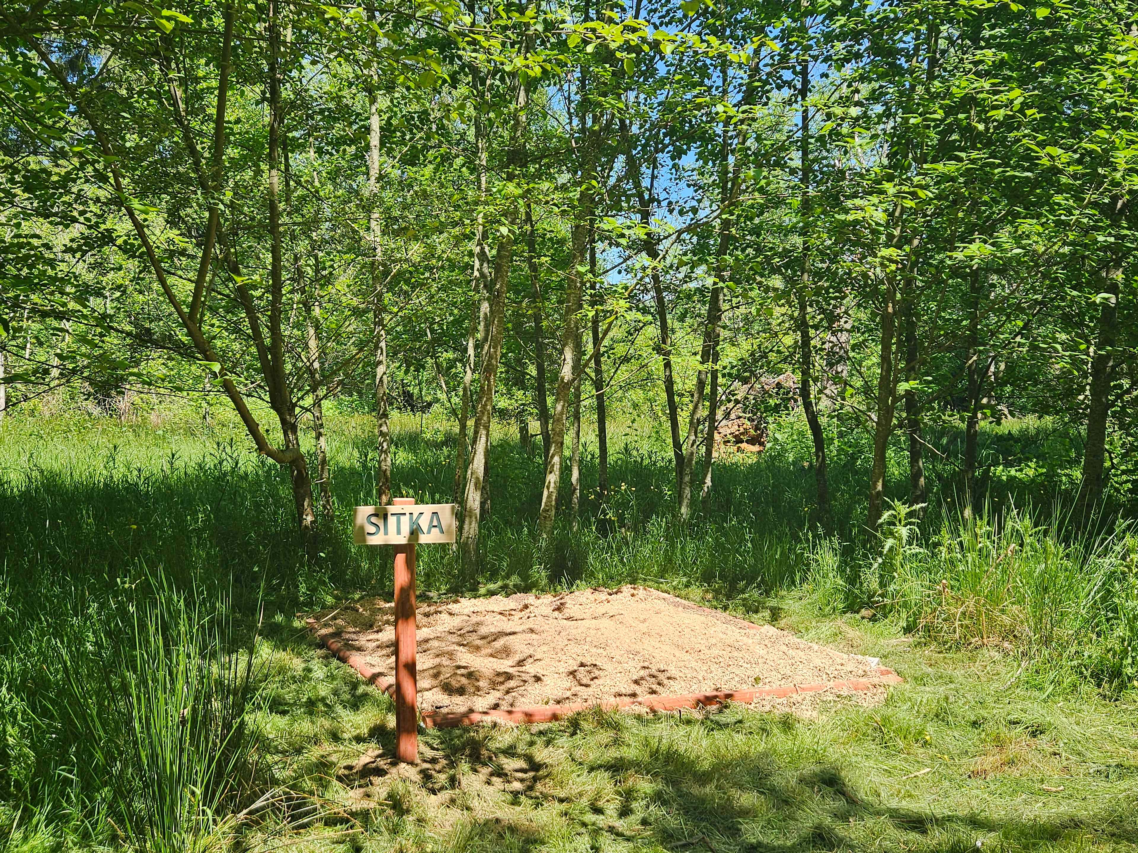 Picture of the site