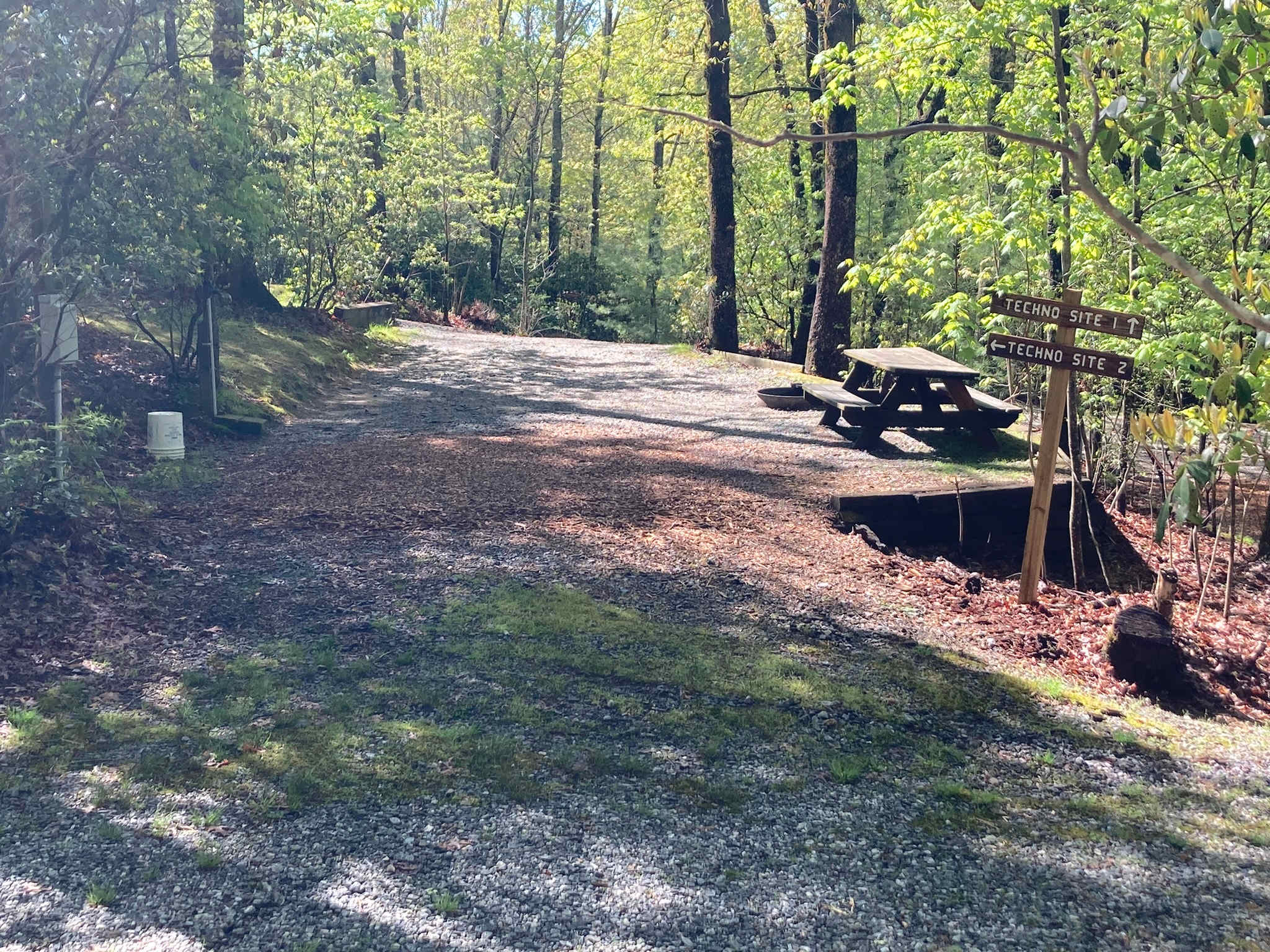 Picture of the site