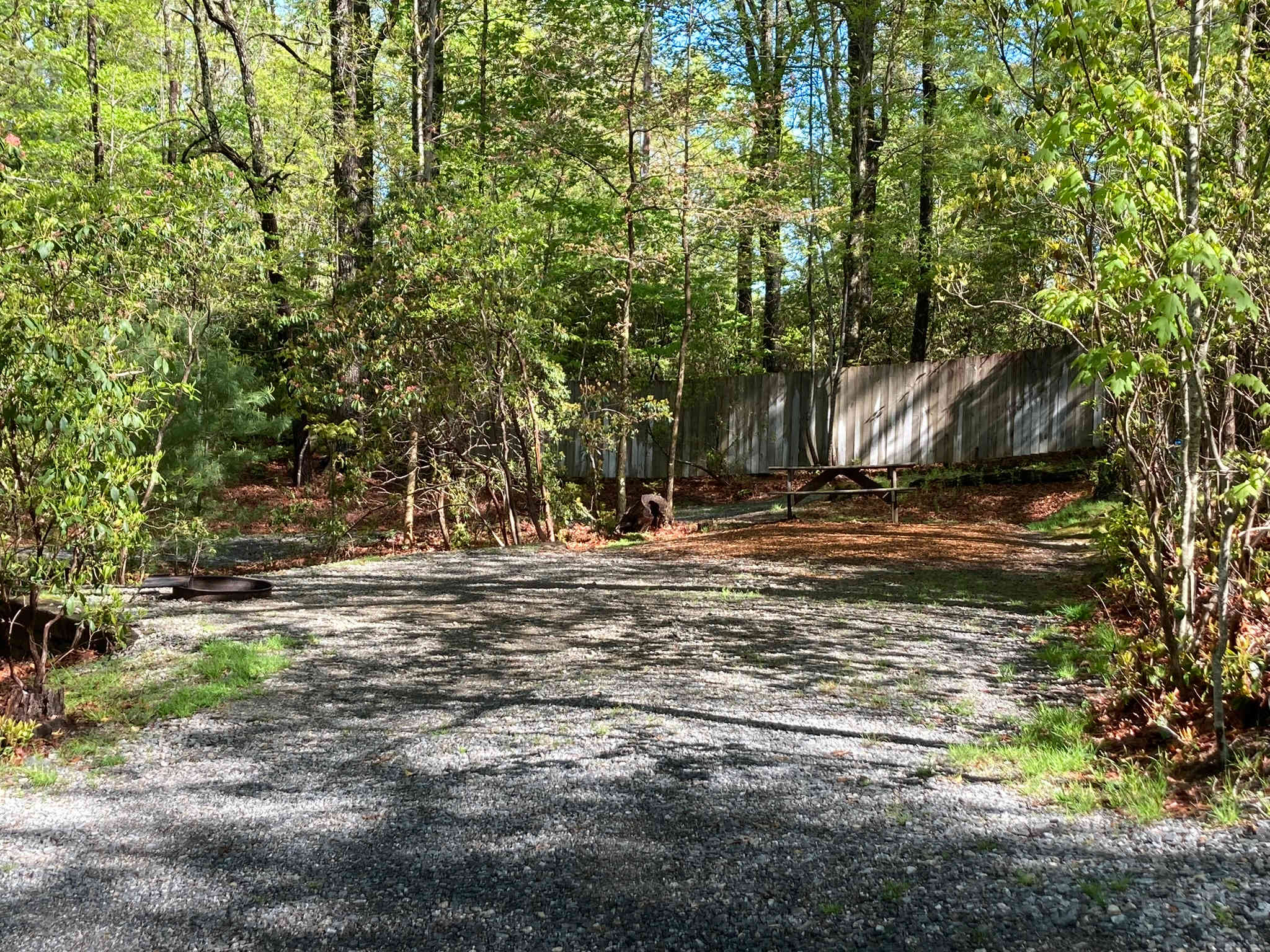 Picture of the site