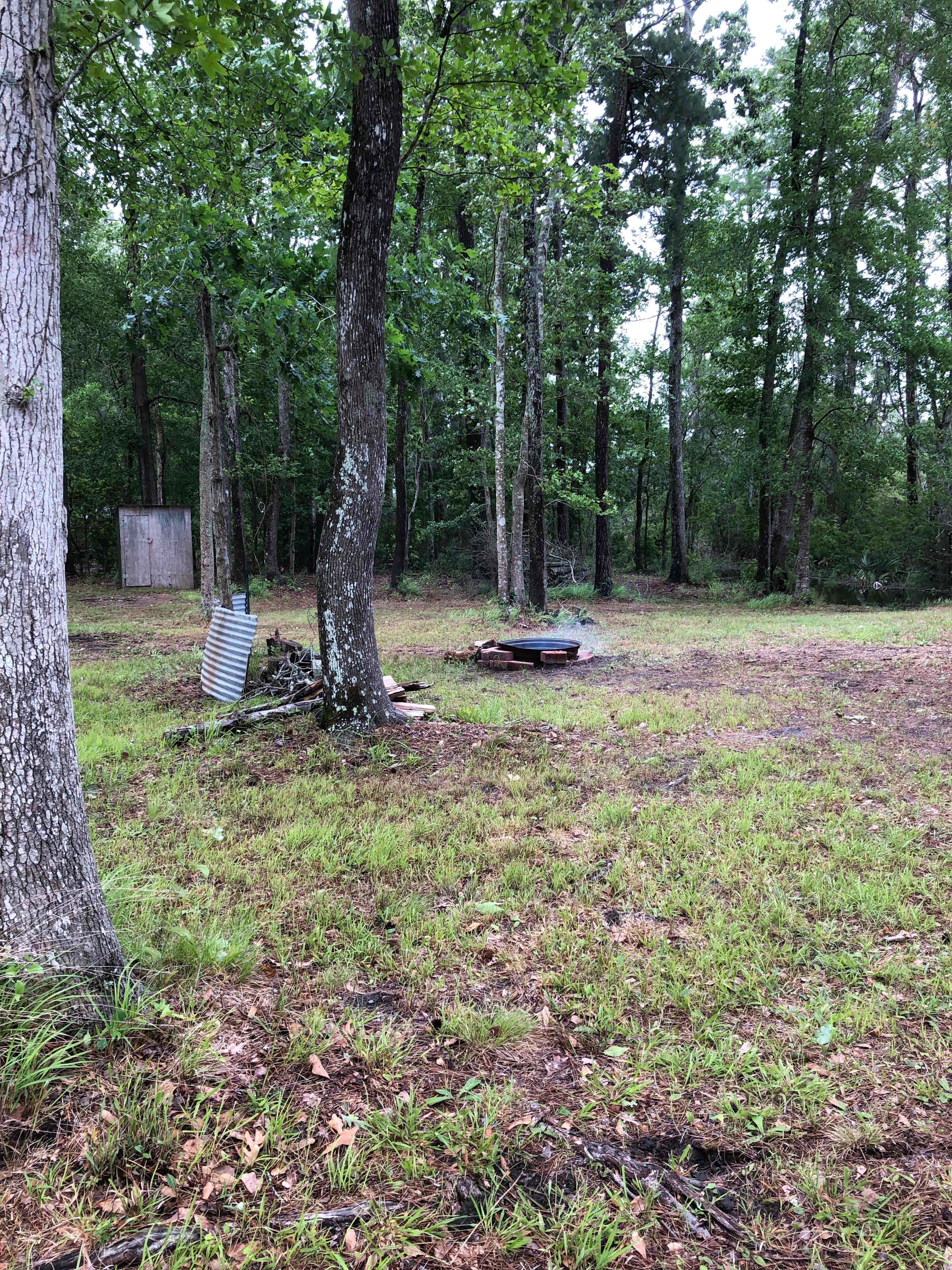 Primitive with mature trees