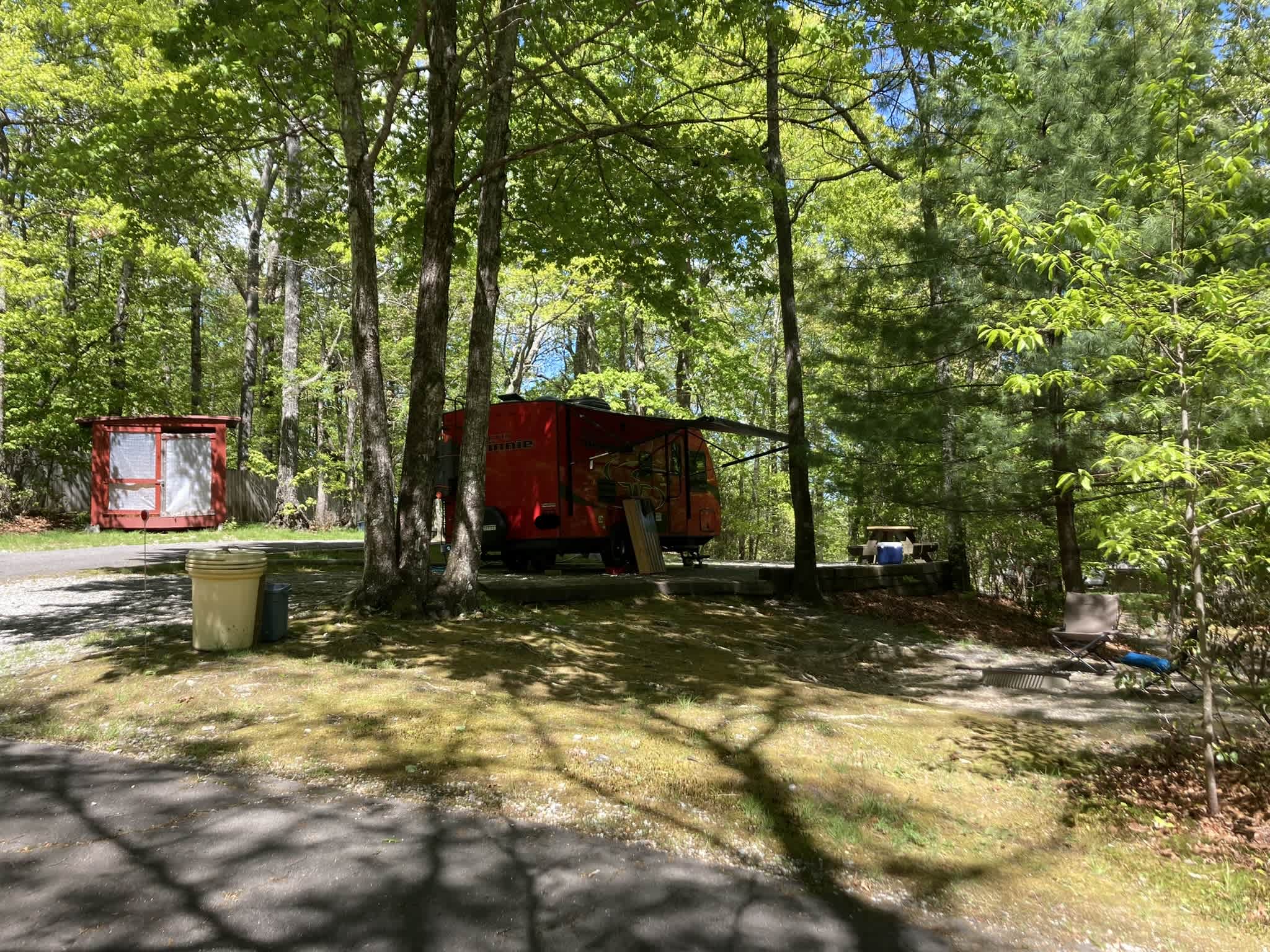 Picture of the site