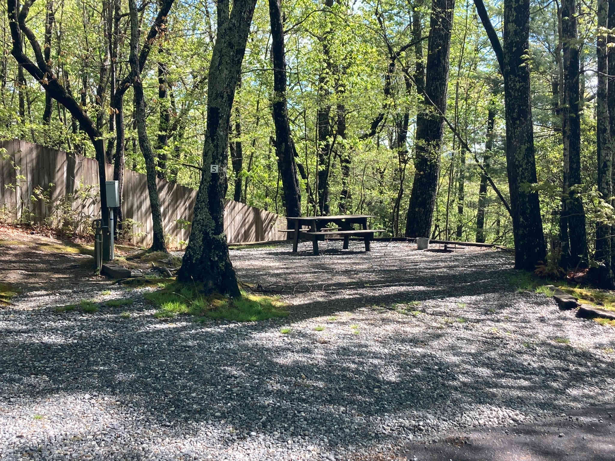 Picture of the site