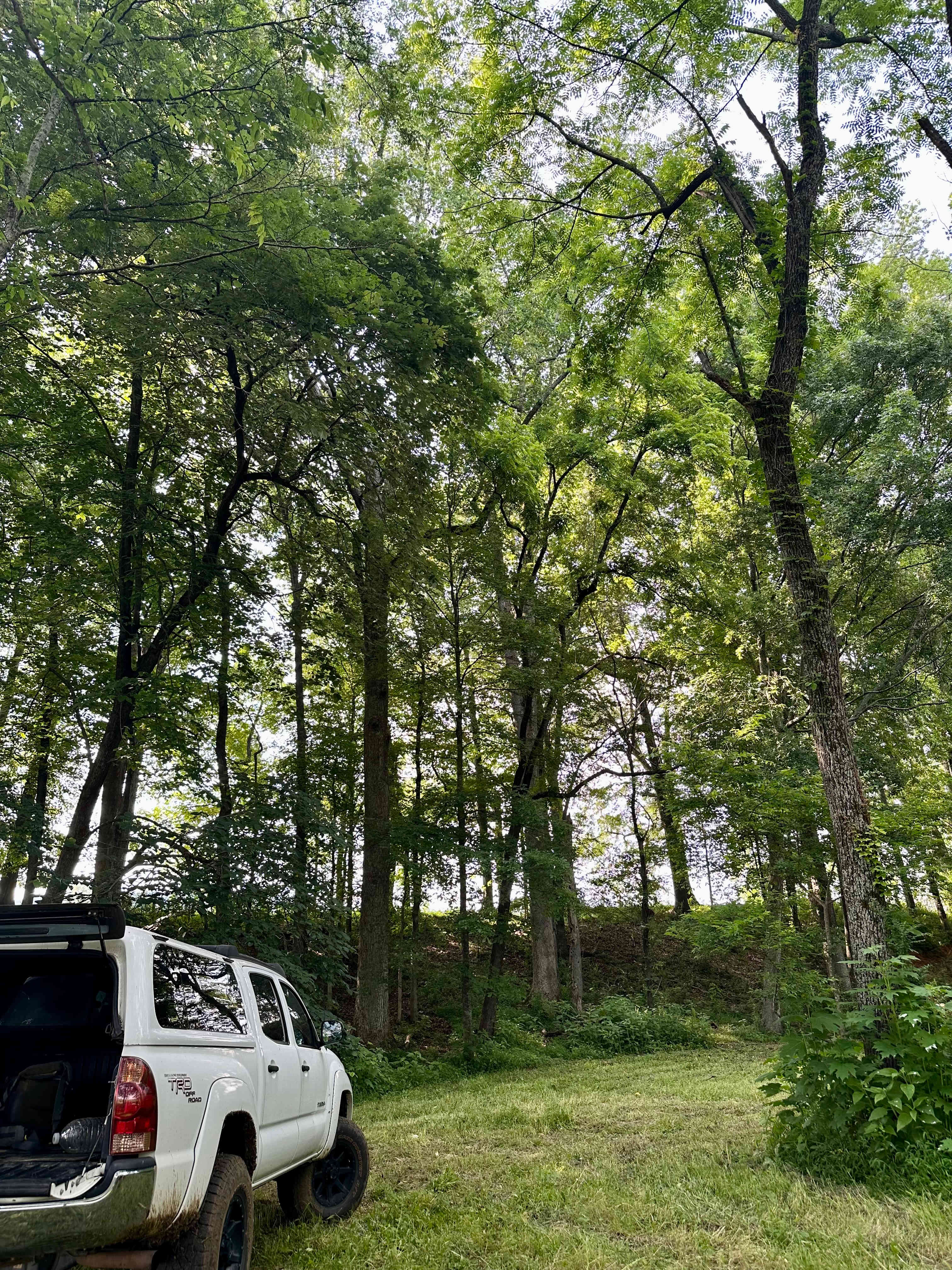 Cottaquilla Creek Campground