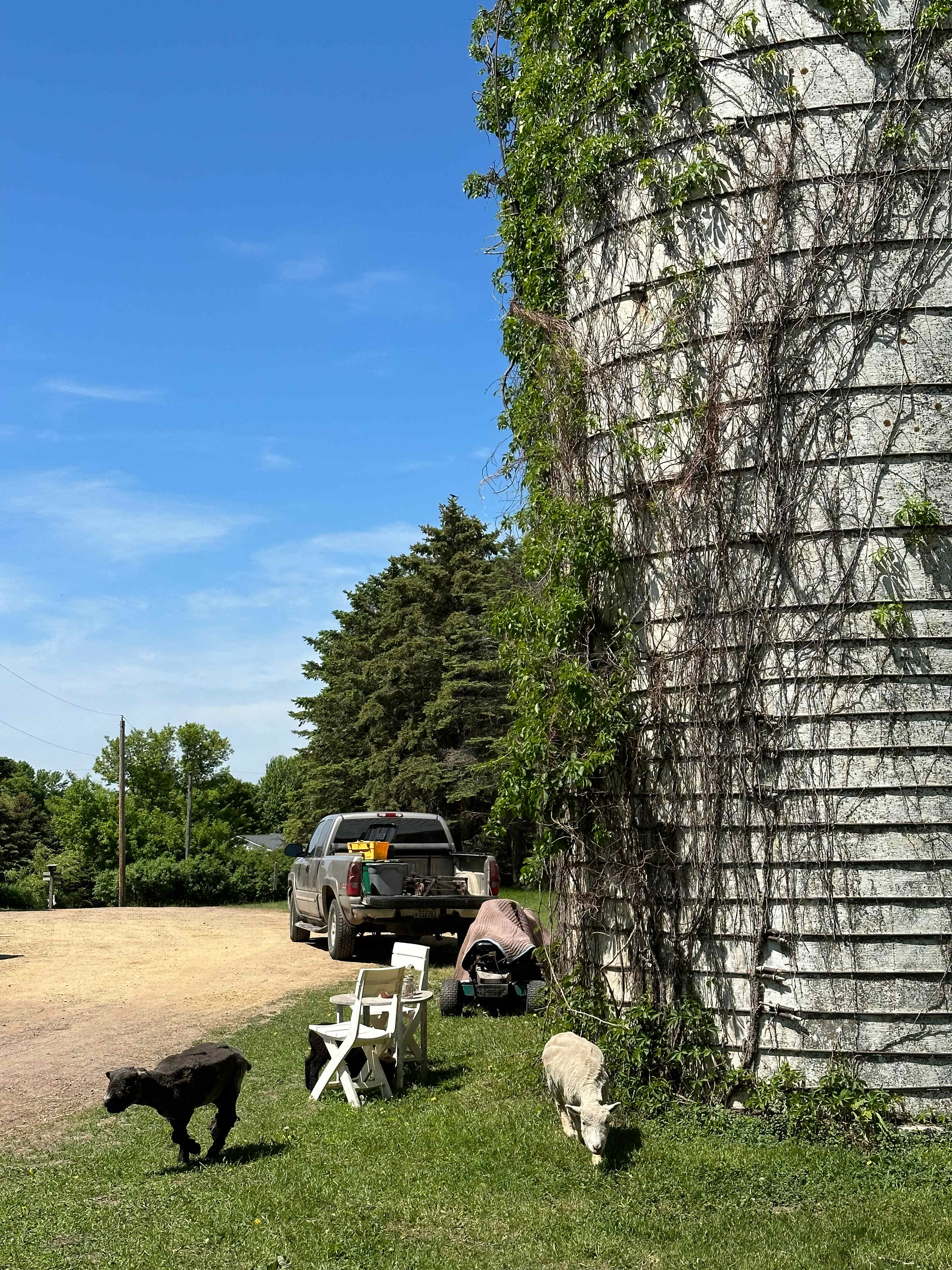 Evergreen Oasis Farm