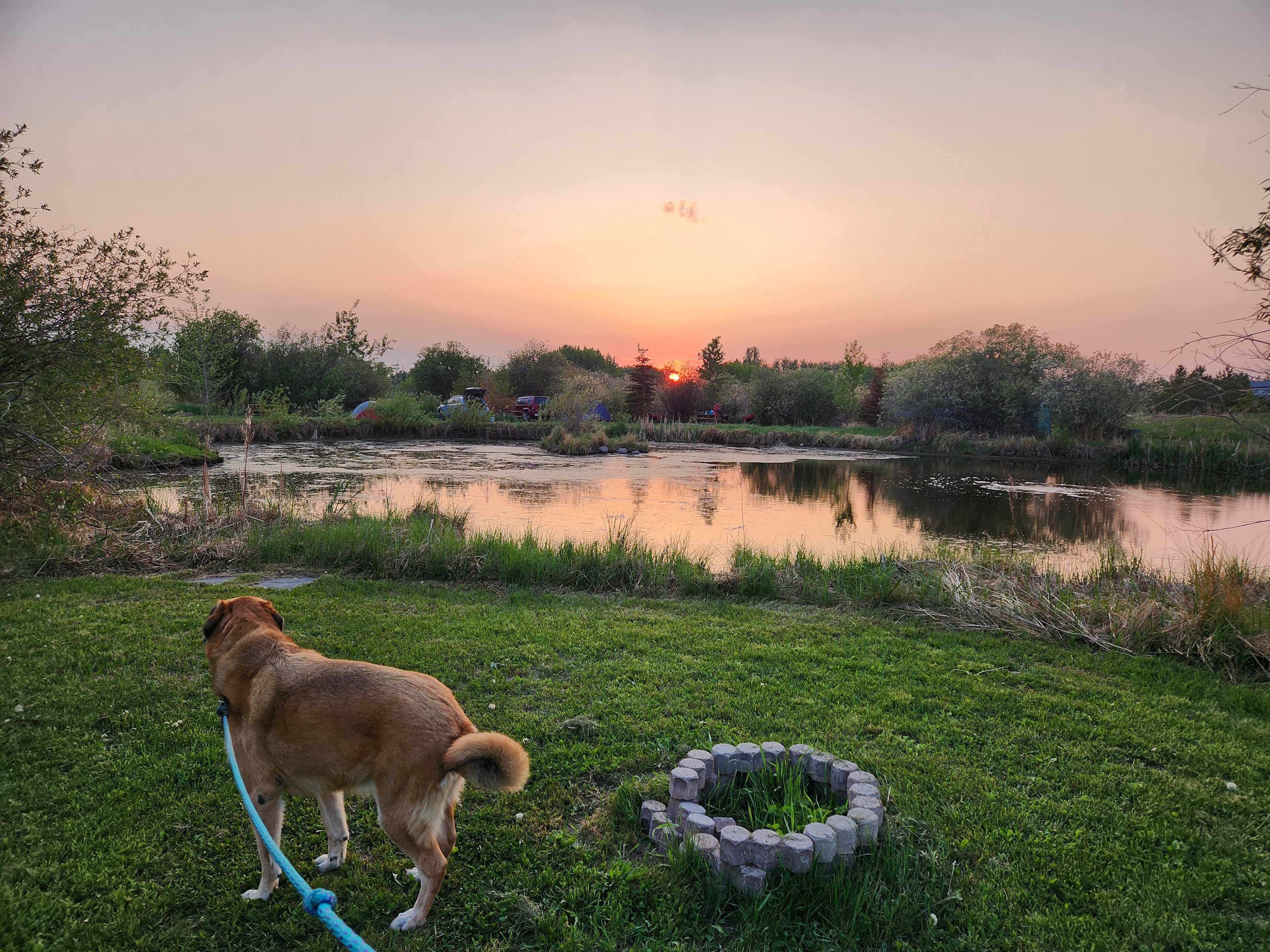 Picture of the site