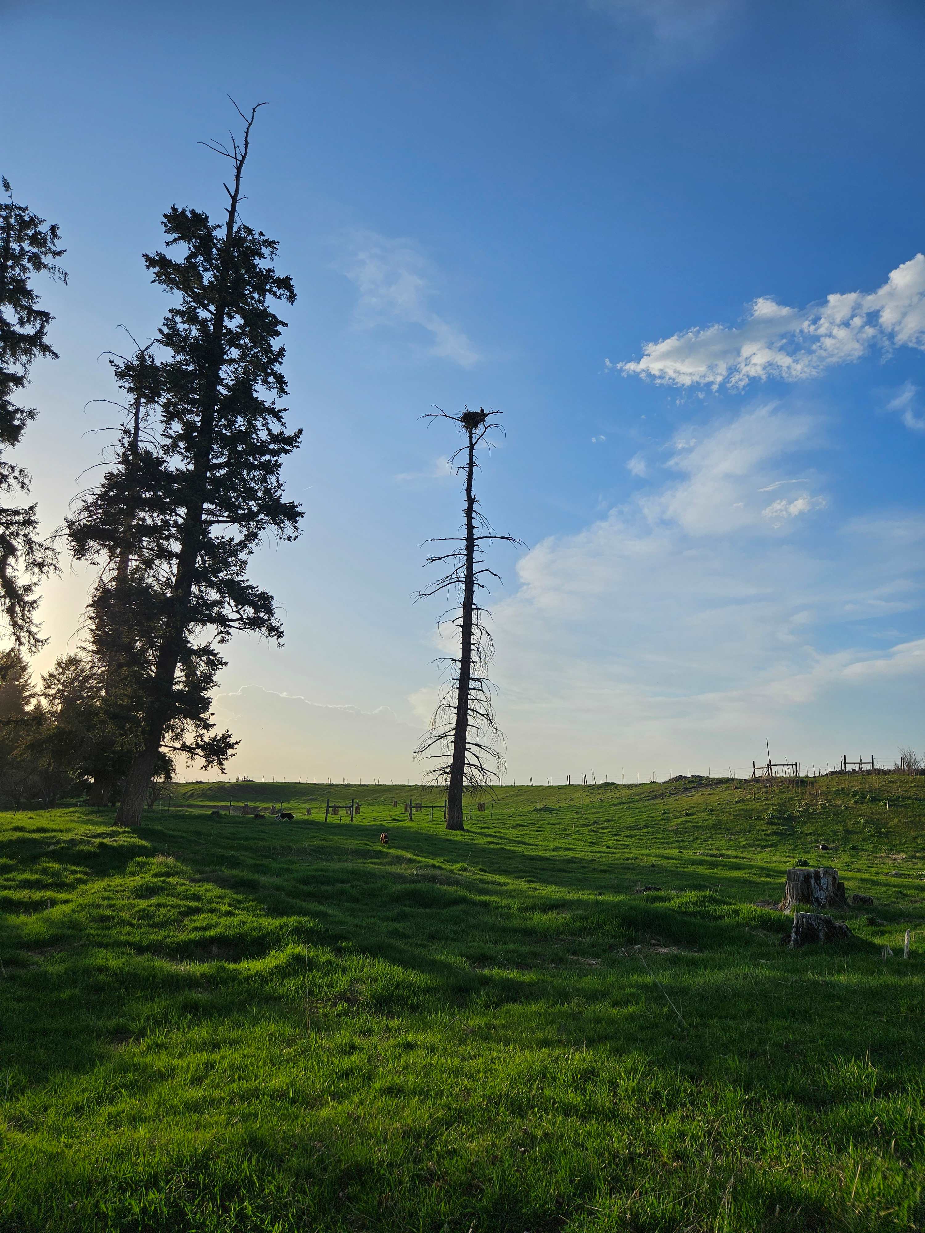 Mission Falls Ranch