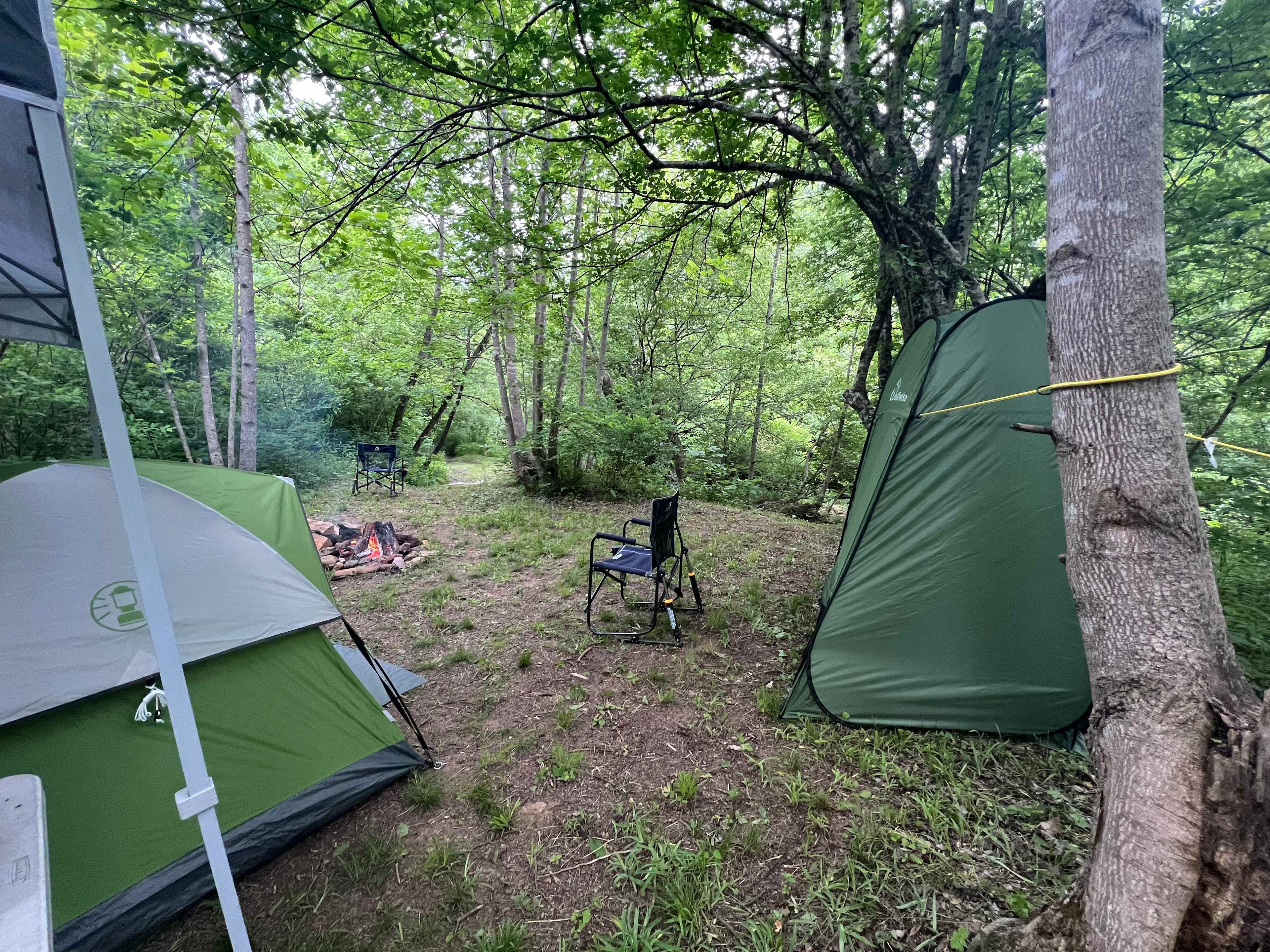 Picture of the site