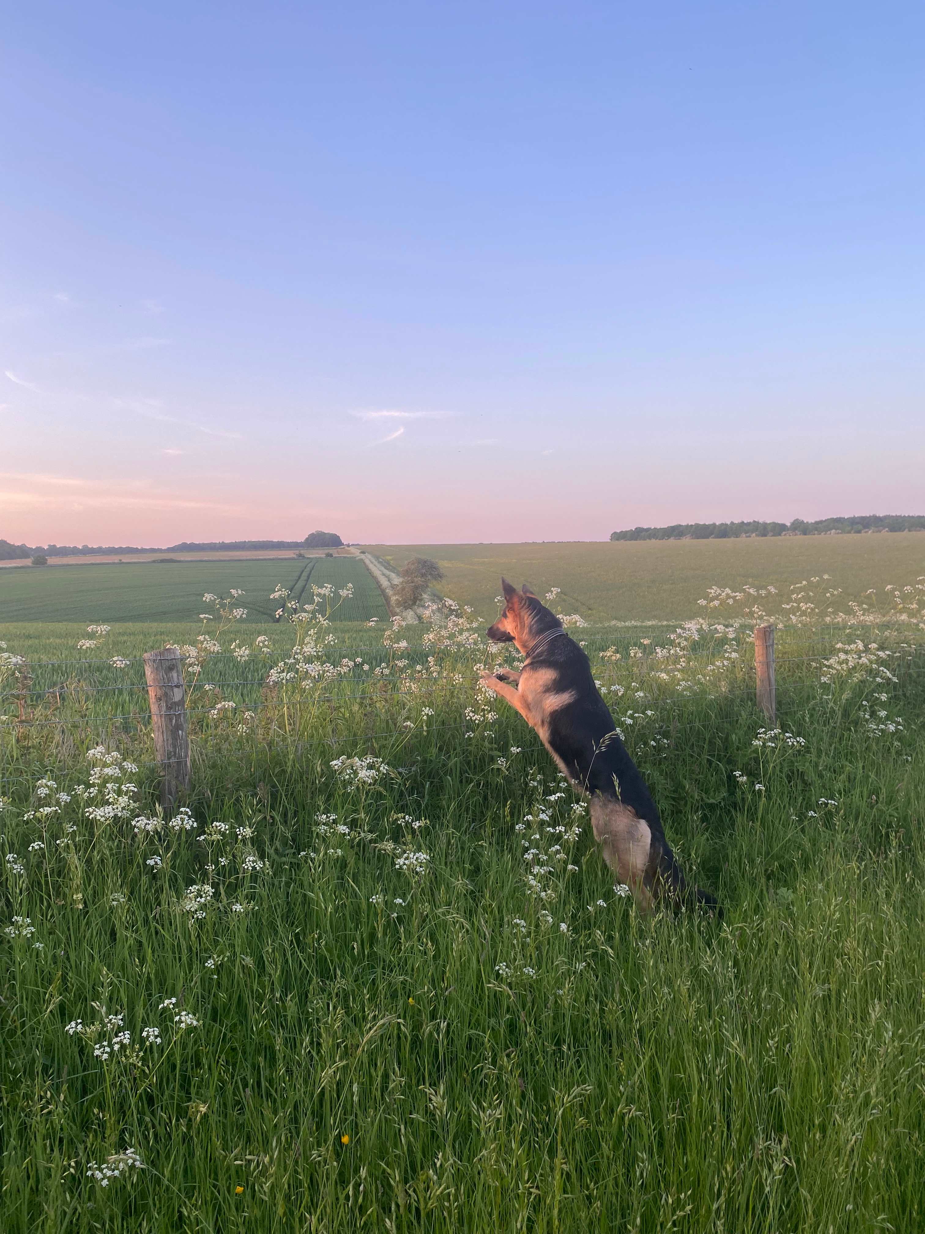 Wild Camping in the Cotswolds
