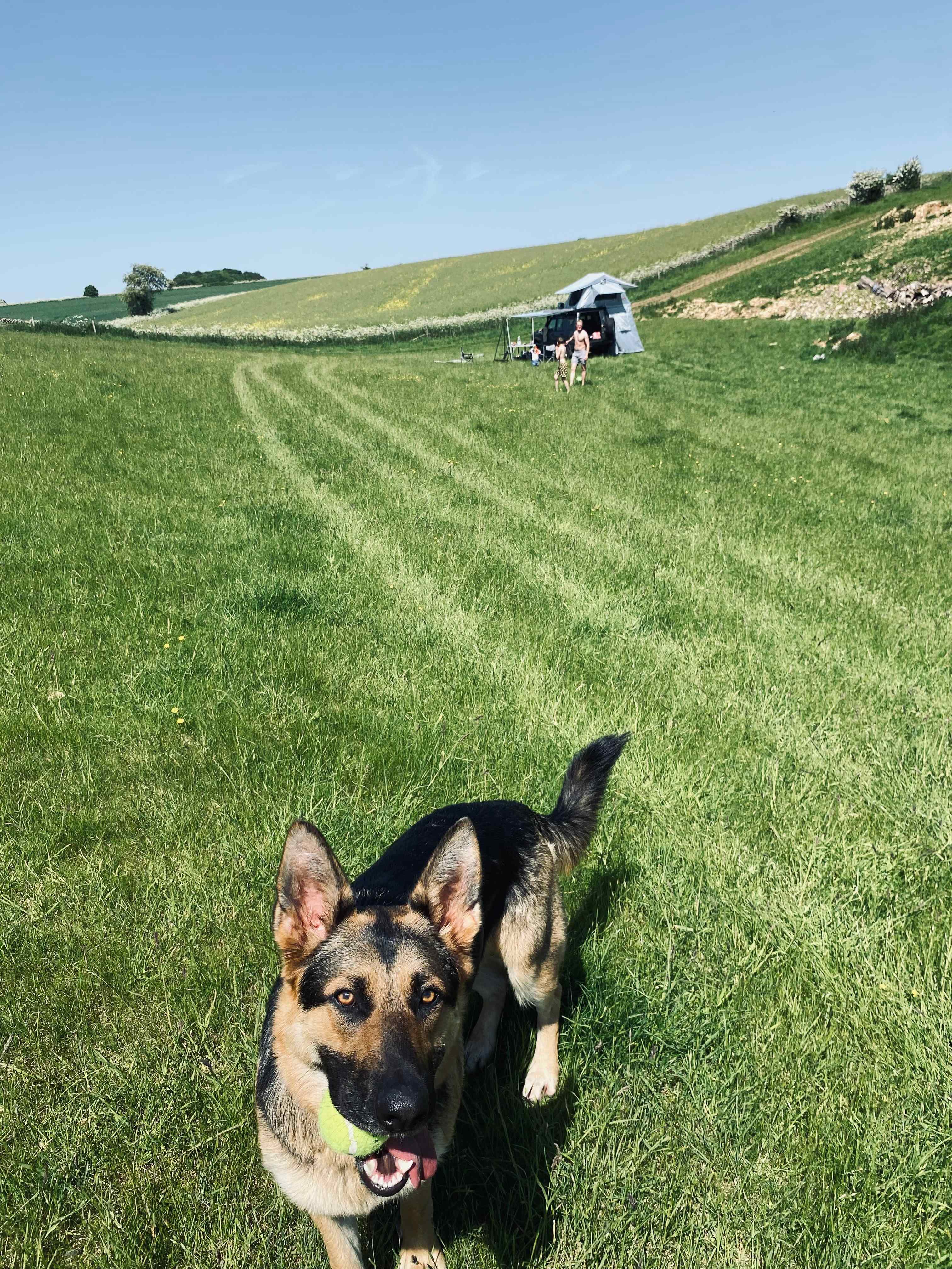 Wild Camping in the Cotswolds