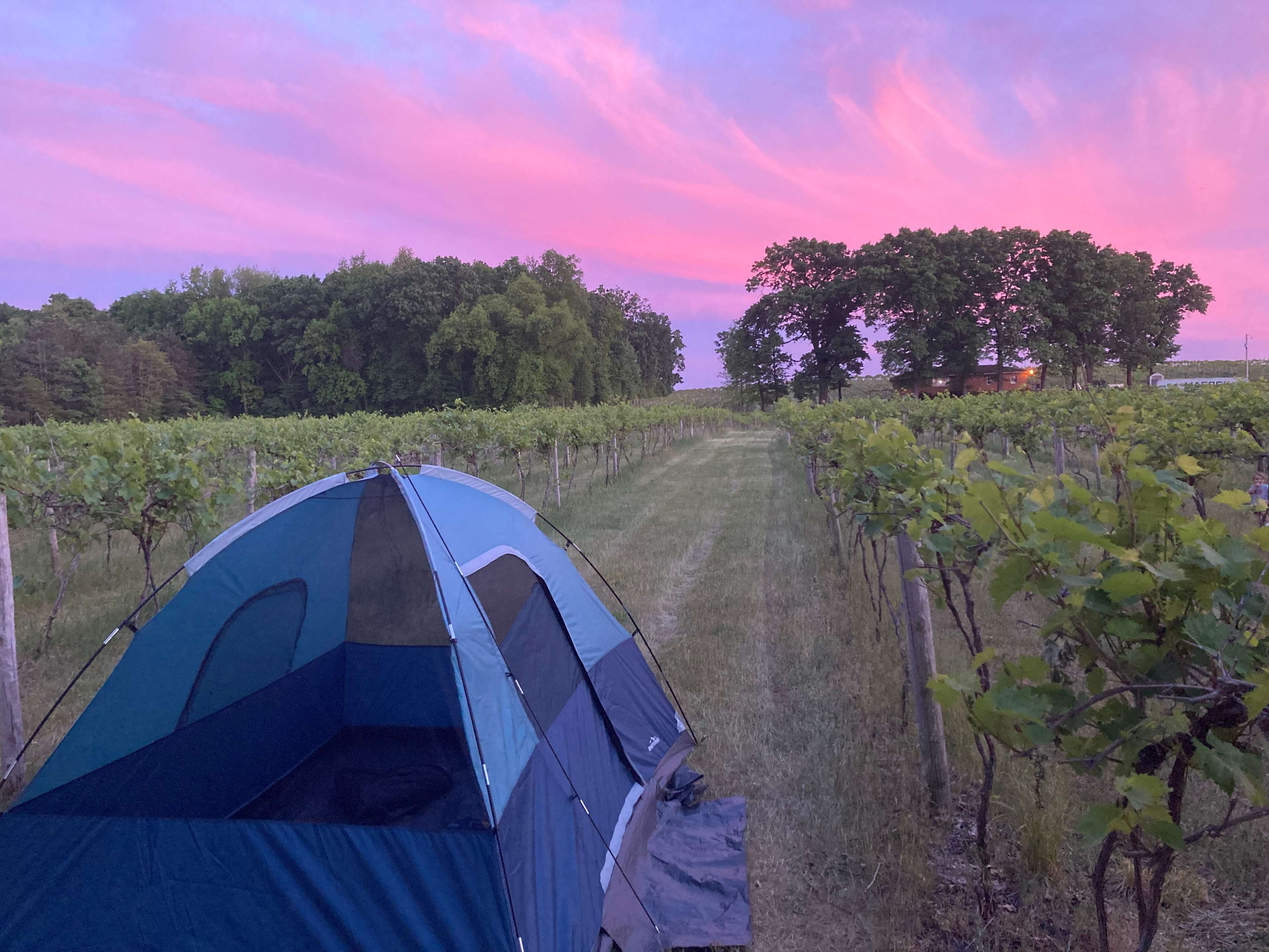 Hunt’s Hillside Vineyards