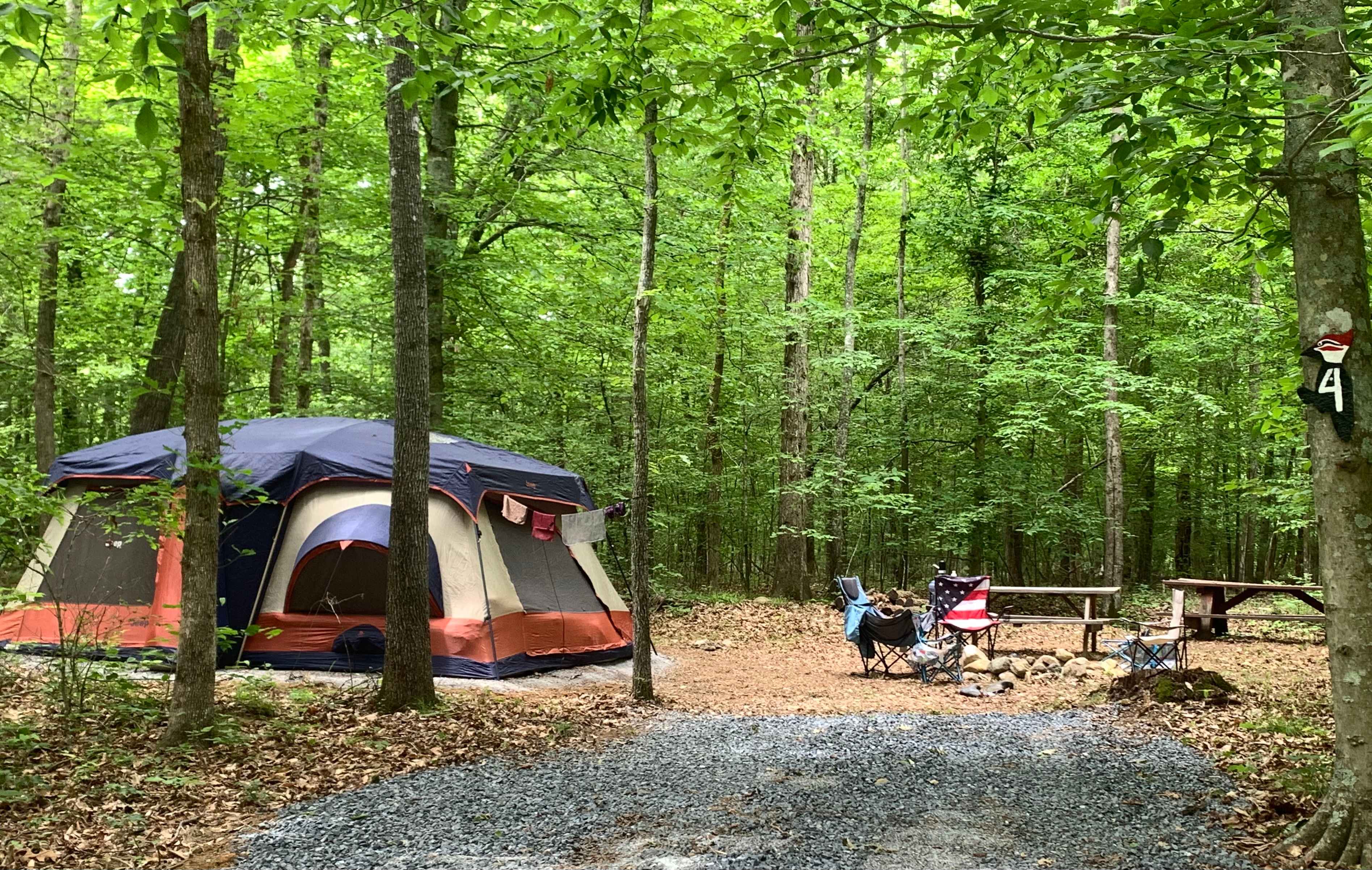 Picture of the site