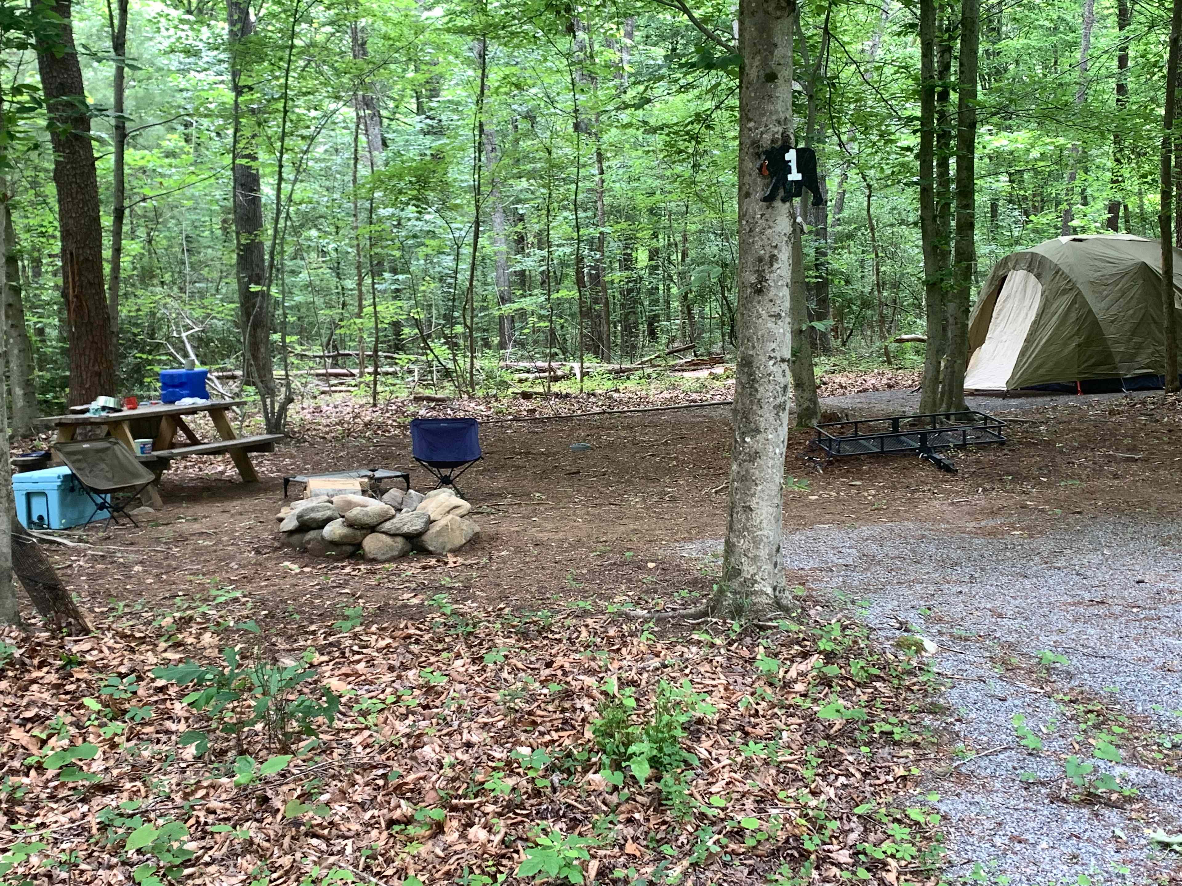 Picture of the site