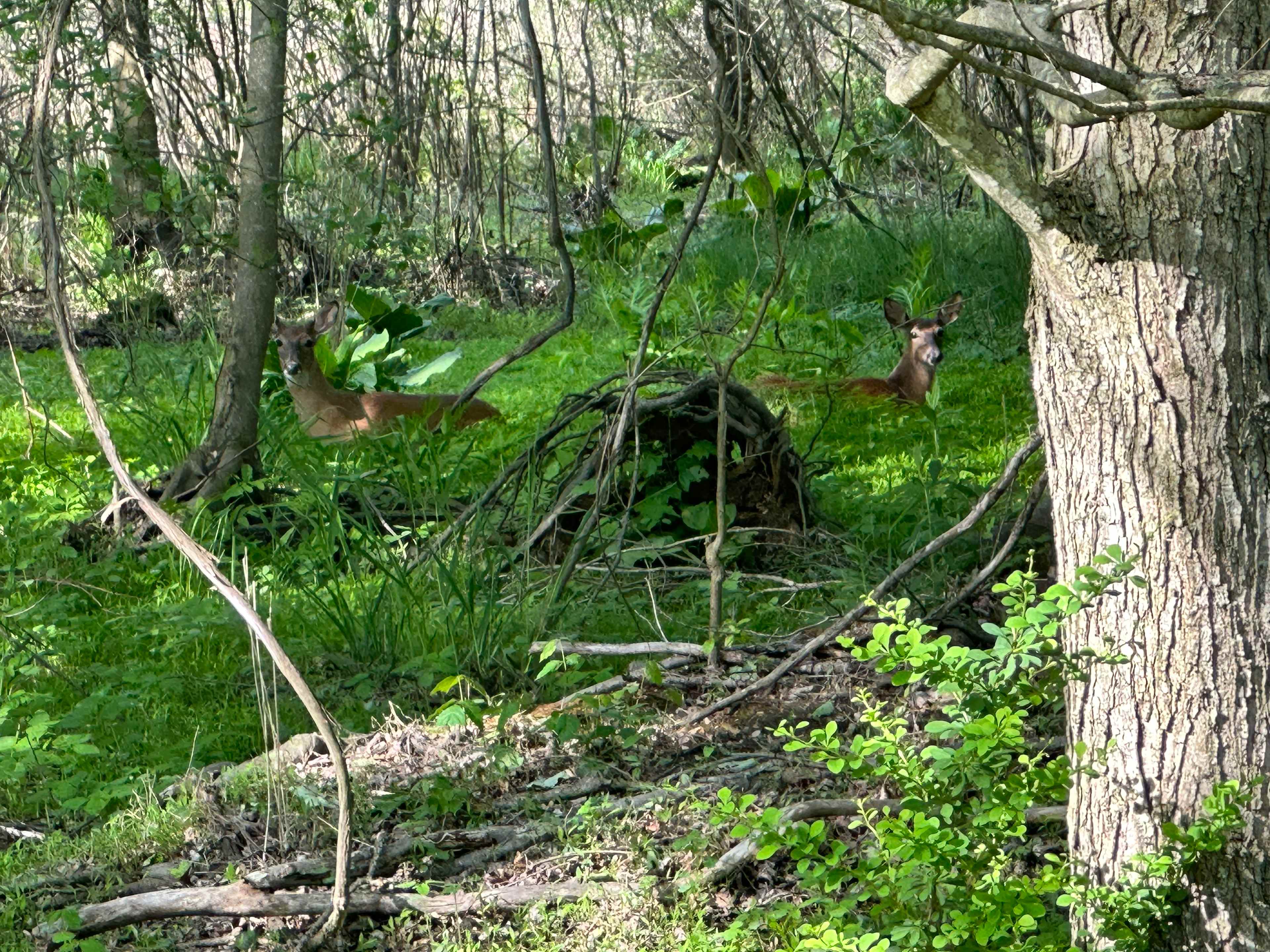 Blue Hill Acres