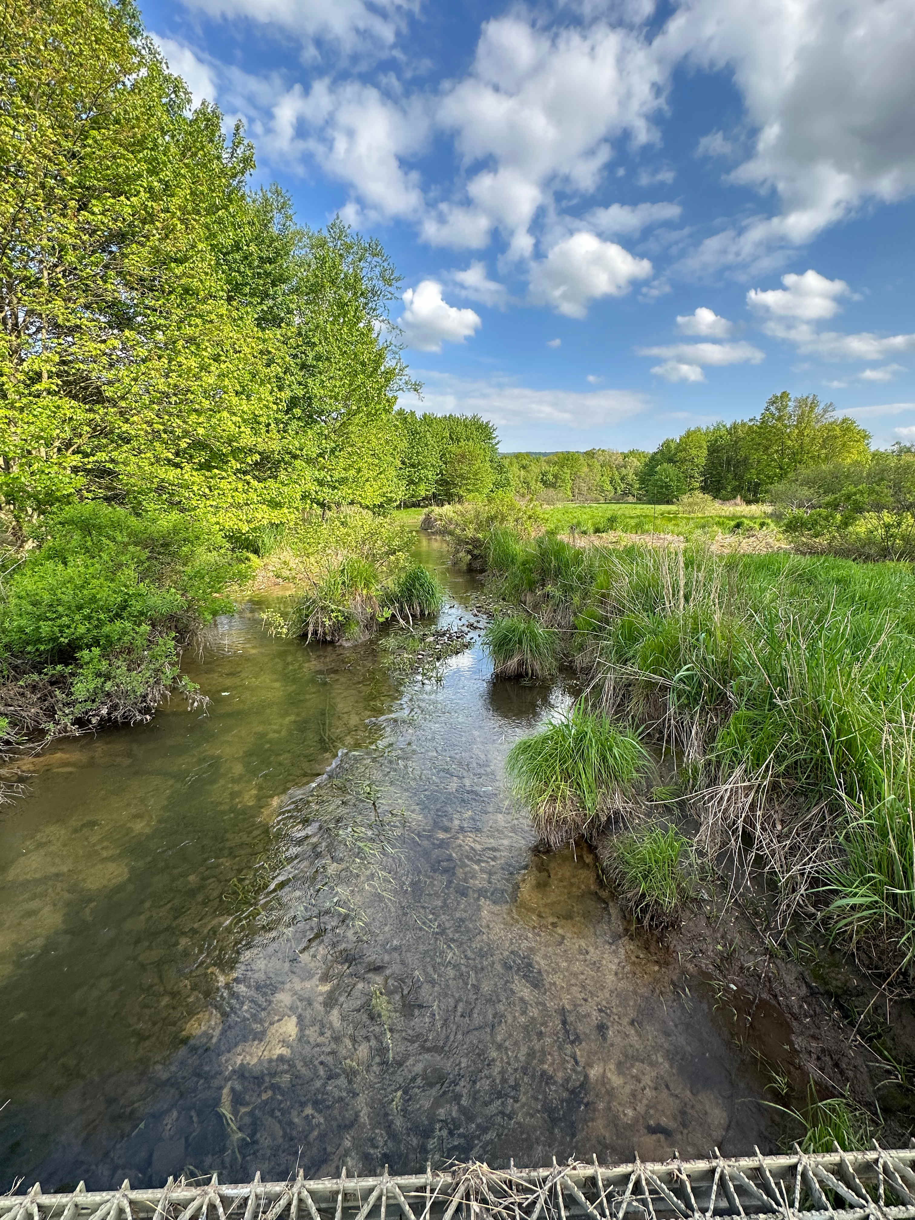 Blue Hill Acres