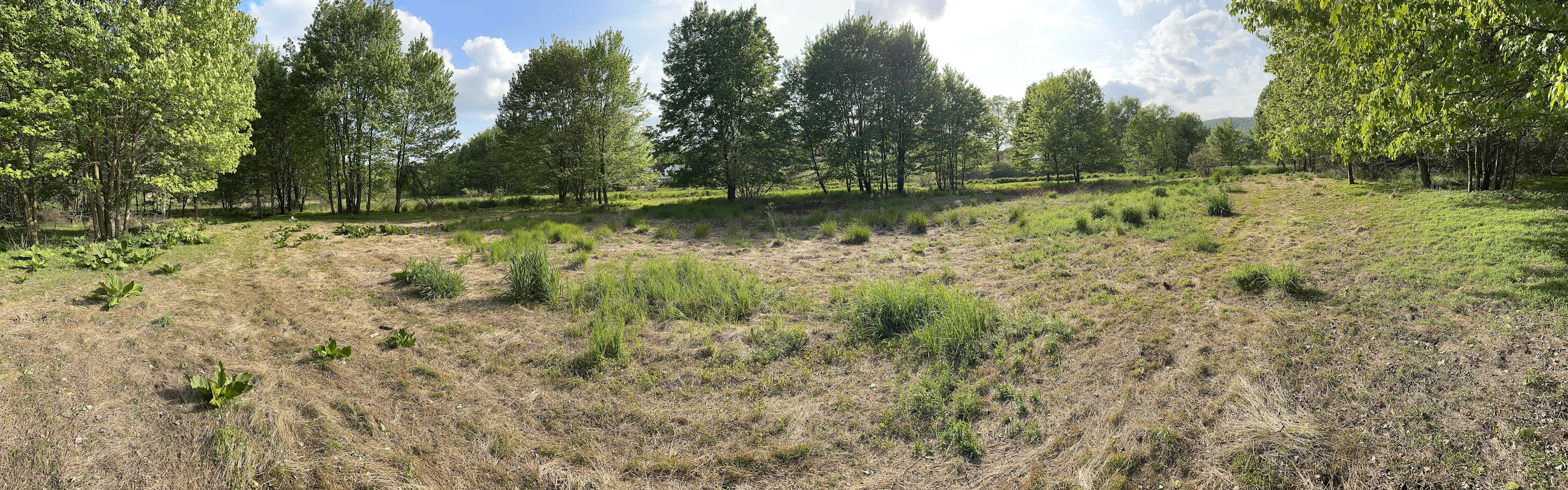 Blue Hill Acres