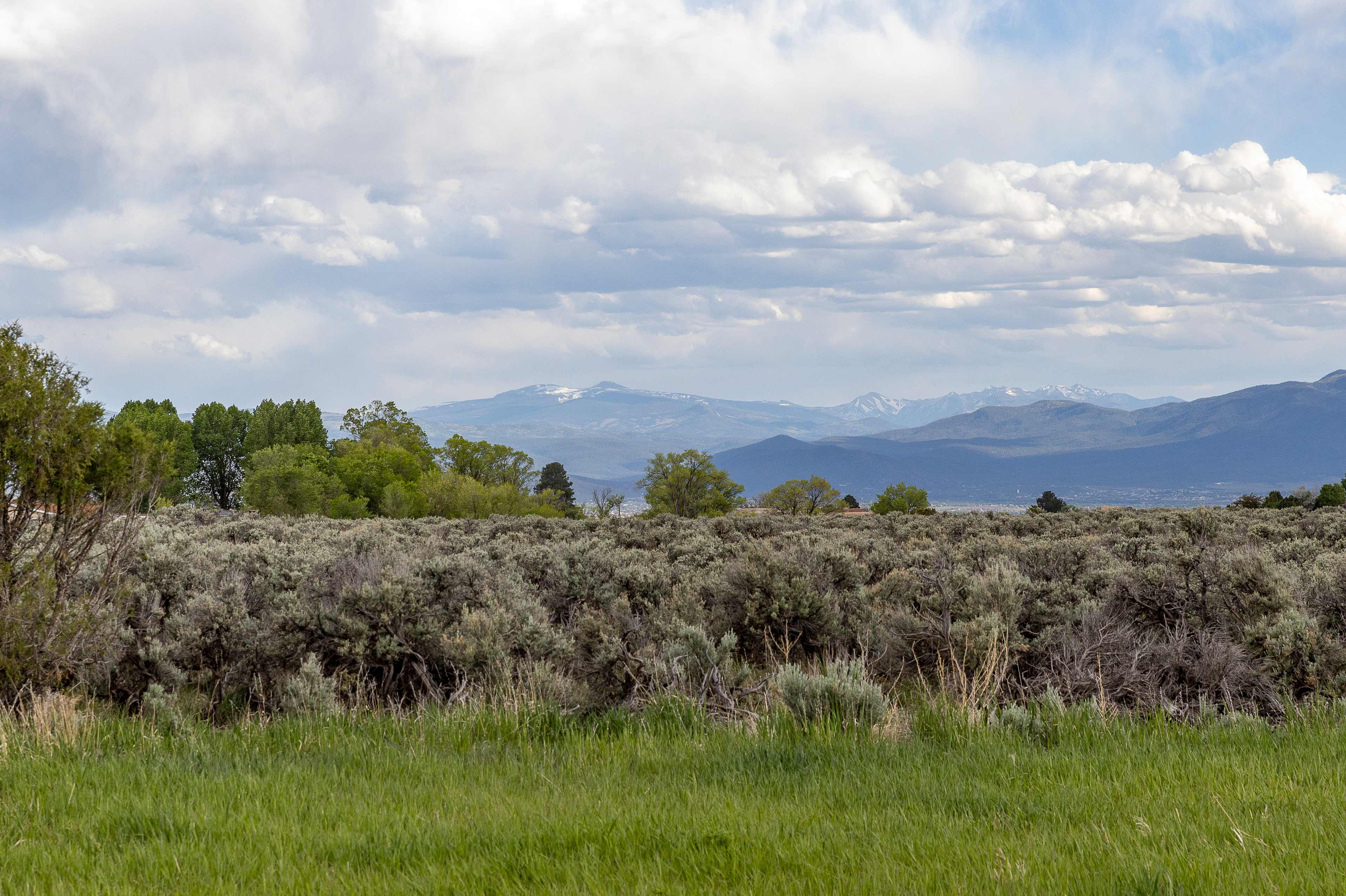 Dragonfly Mountain Ranch