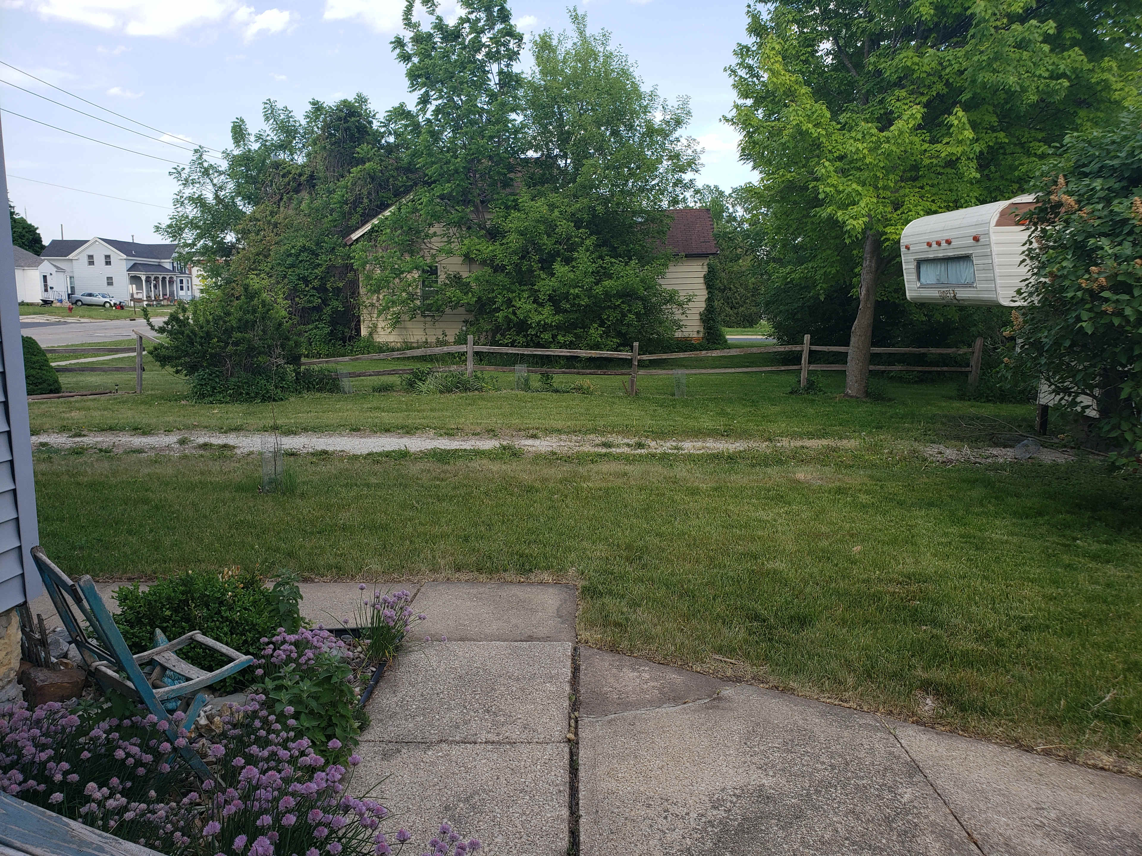 Mended Tree Drive
