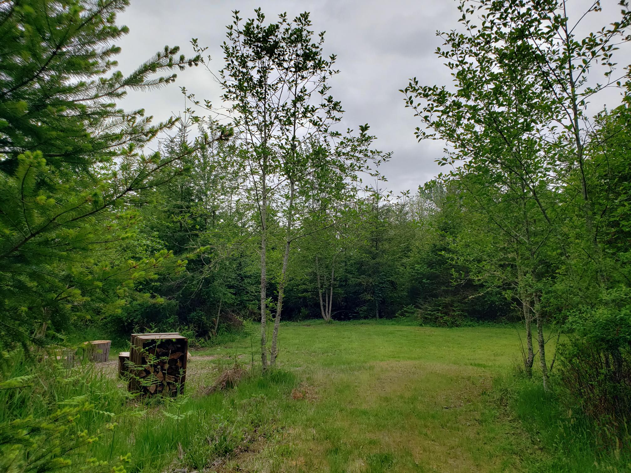 Edelgran Forest Camp