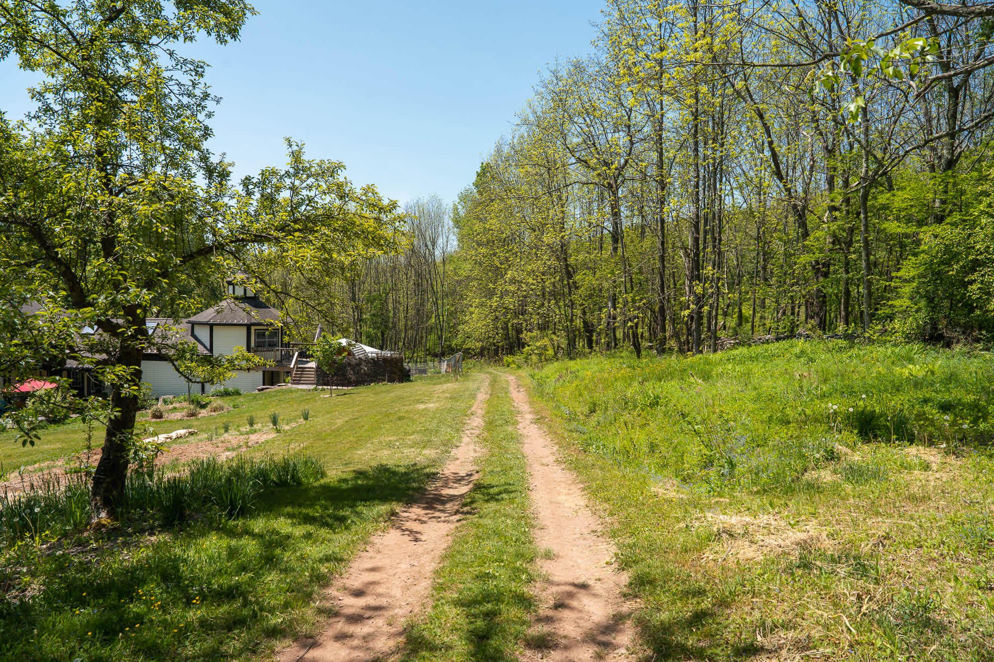 Pathway to our campsite | Photo by Zak Suhar | zaksuhar.com | @zaksuhar