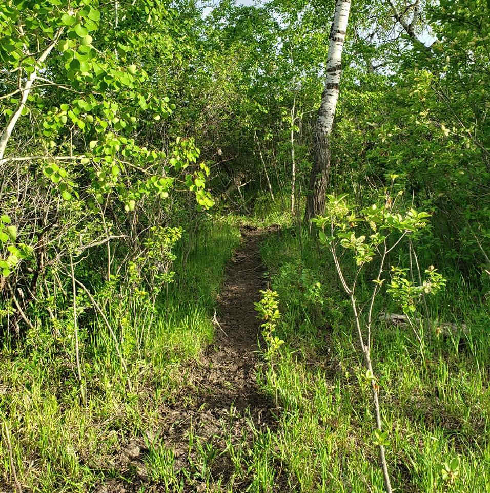 Hiking trails