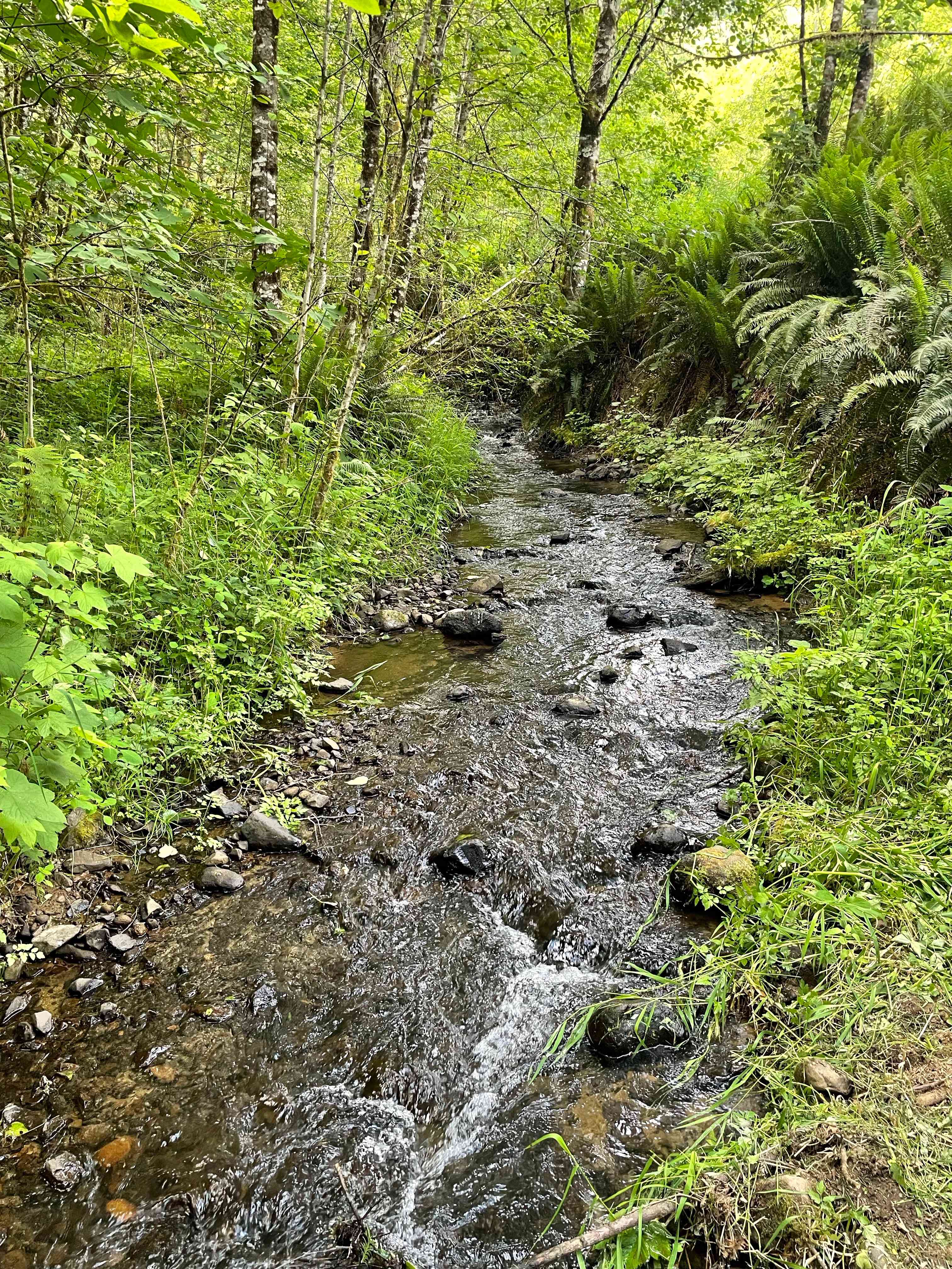 Favorite Creek Campground