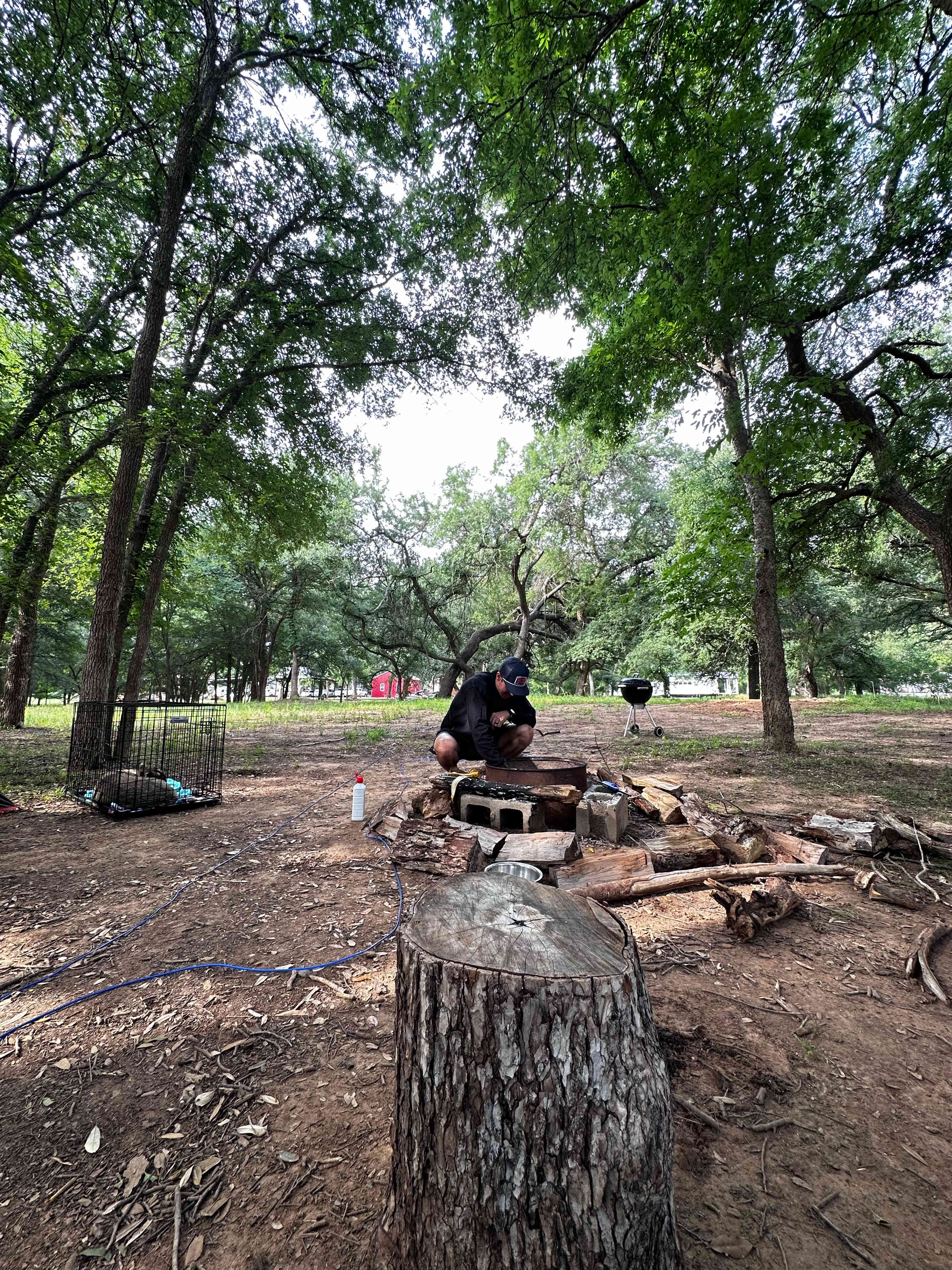 Picture of the site