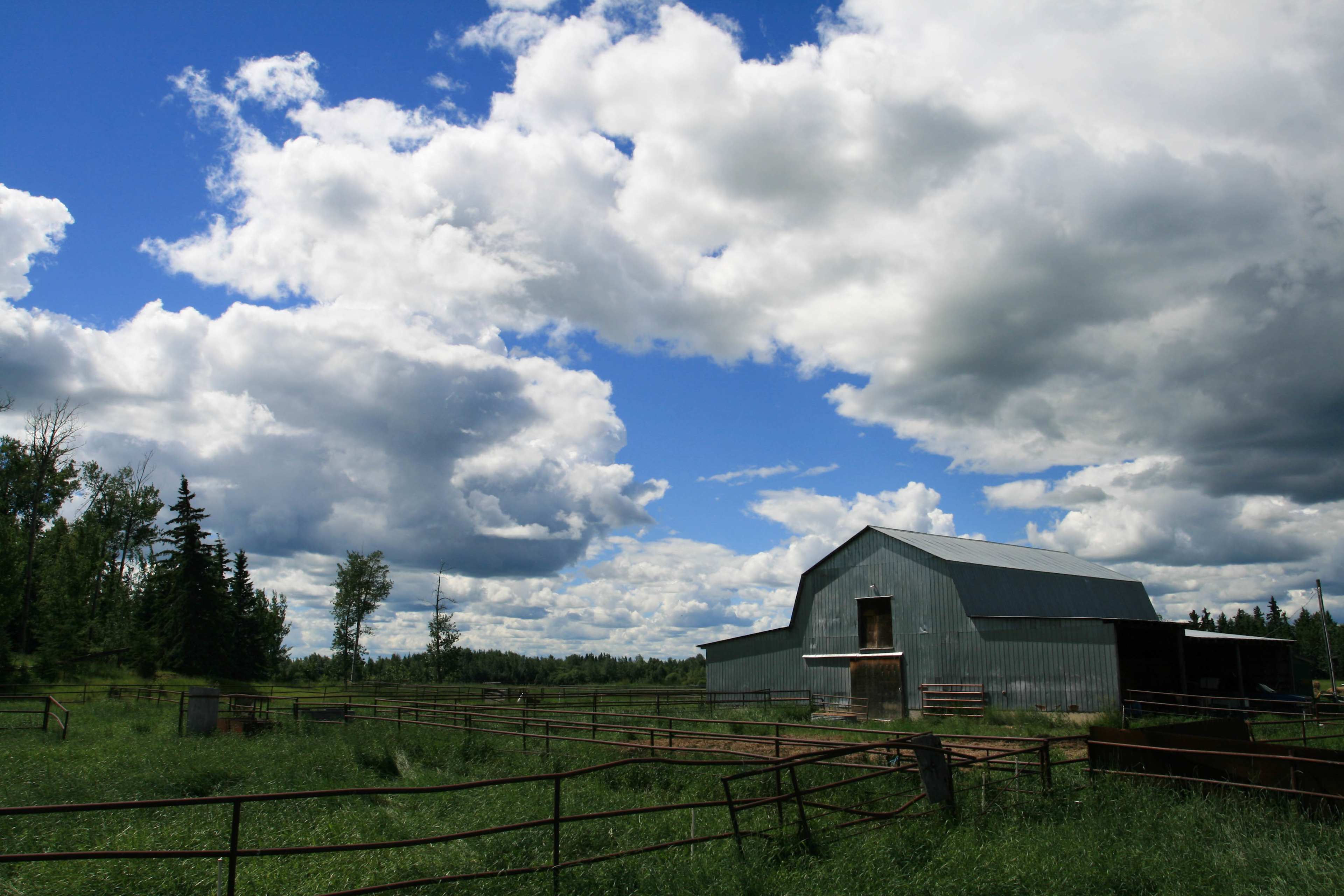 BellMar Ranch & Gardens