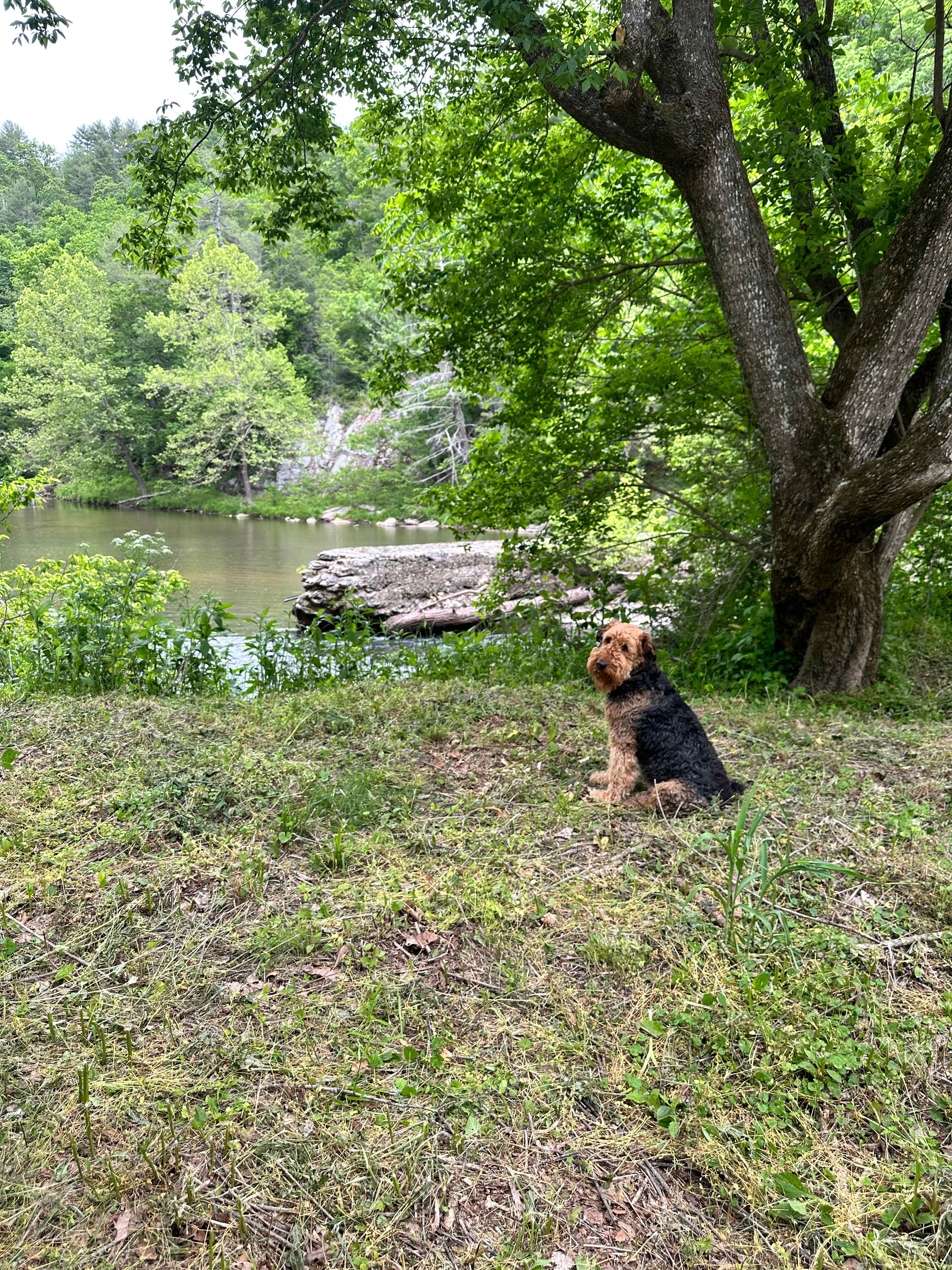 The River's Edge