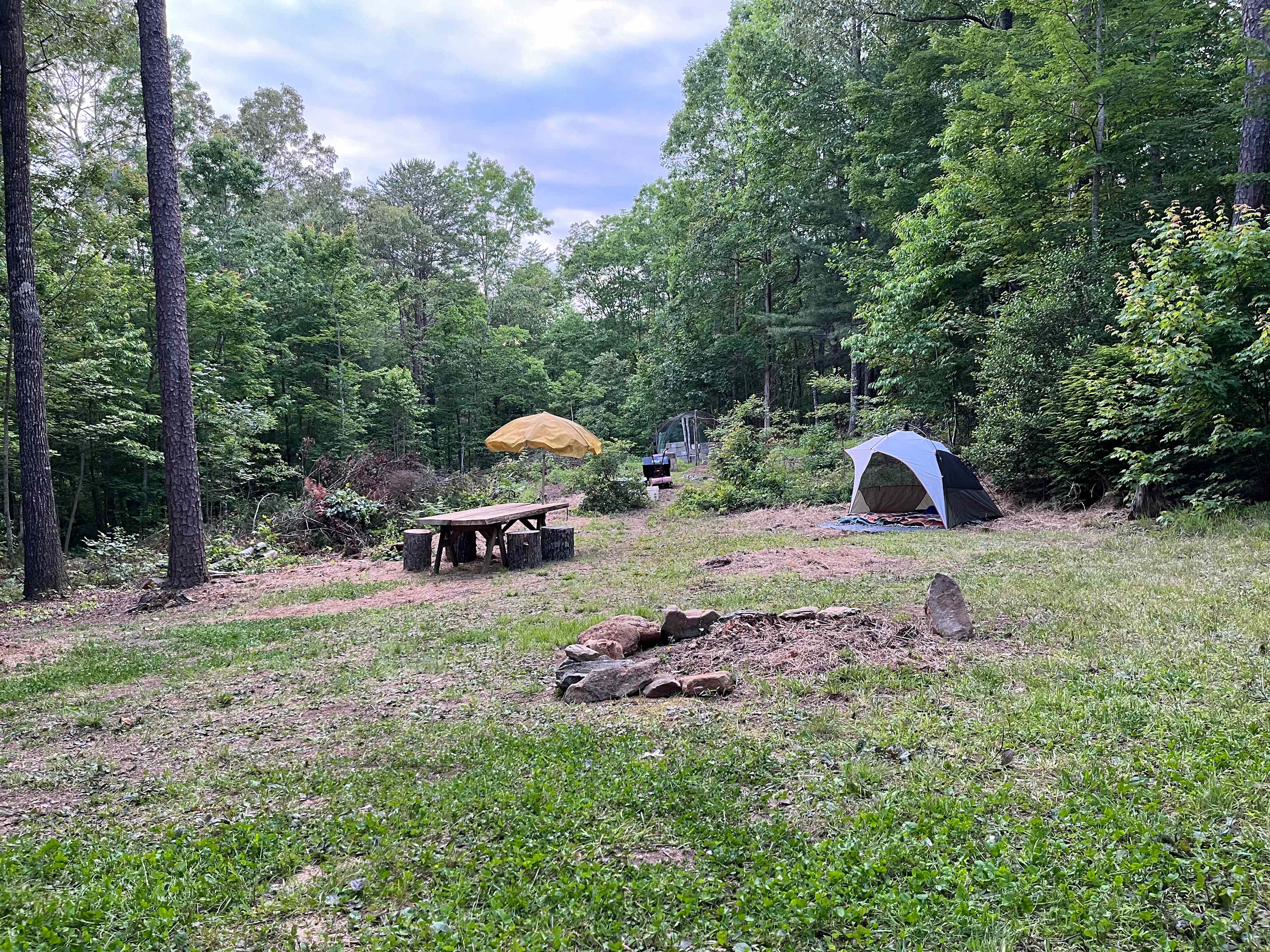 Tumble Down Shack