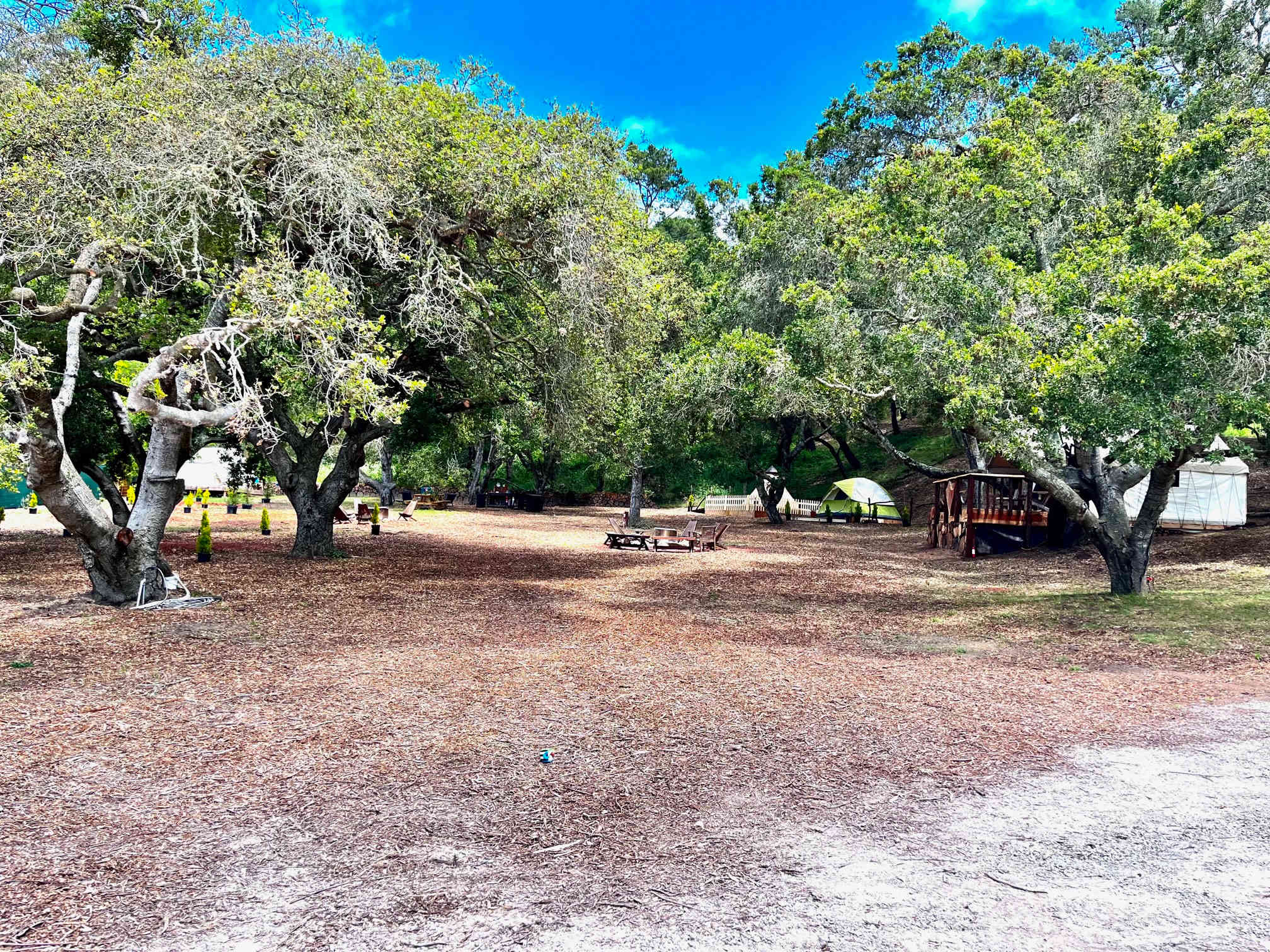 Picture of the site
