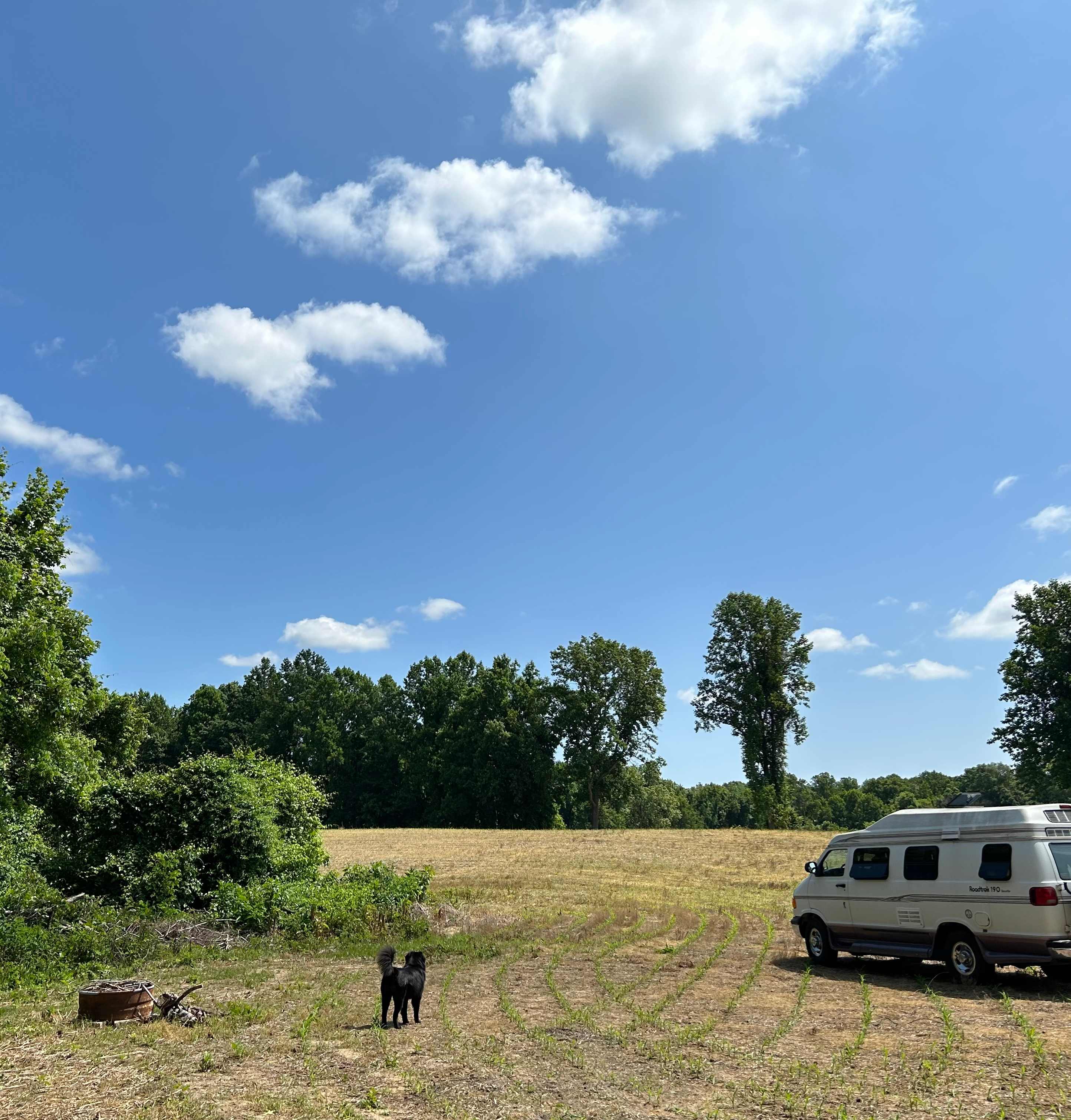 Picture of the site