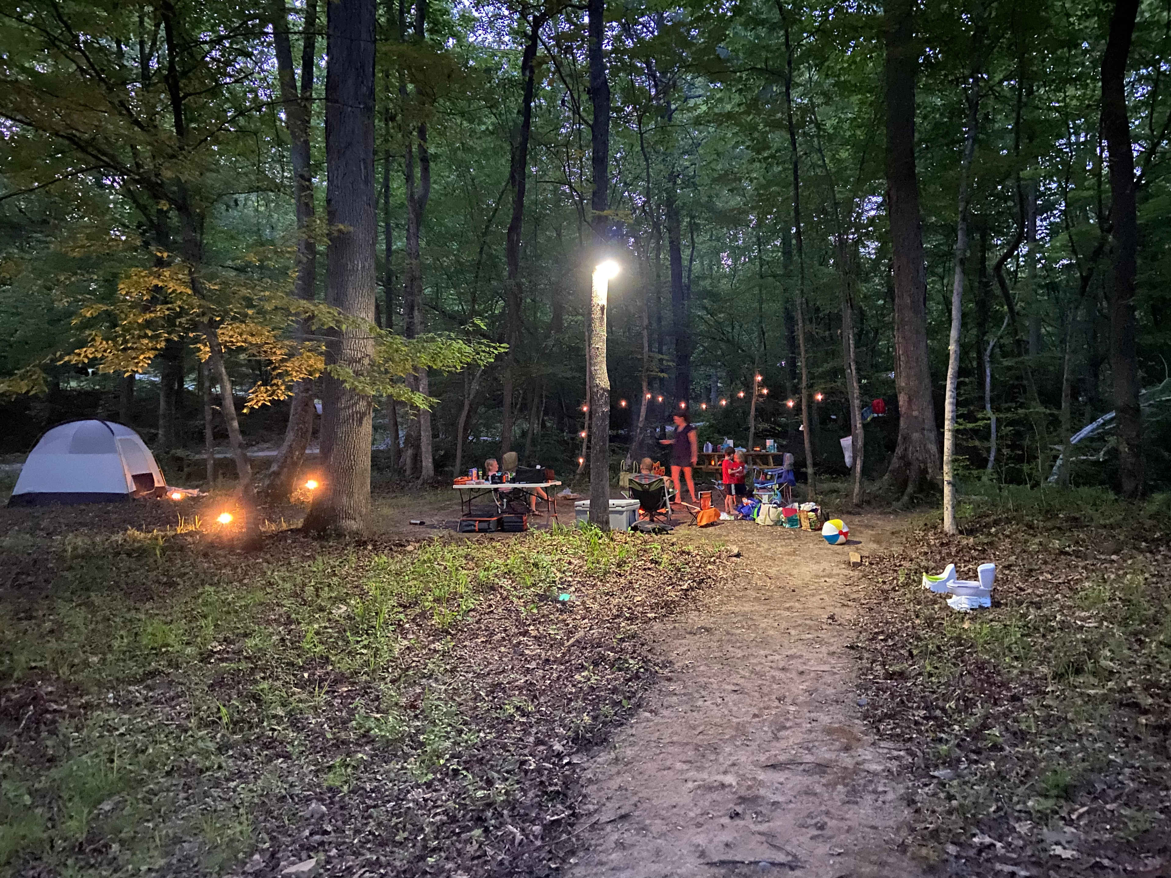 Picture of the site