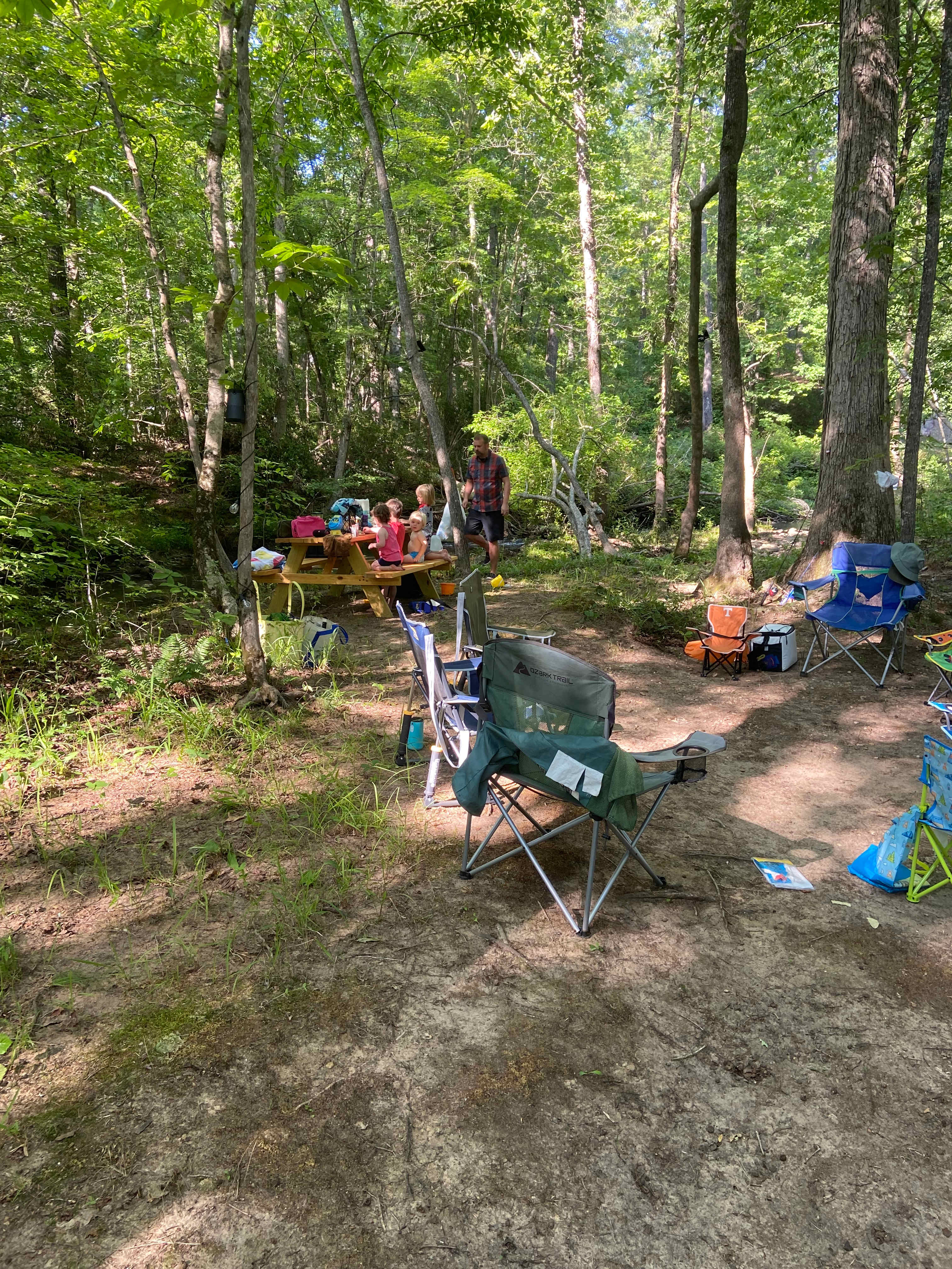 Picture of the site